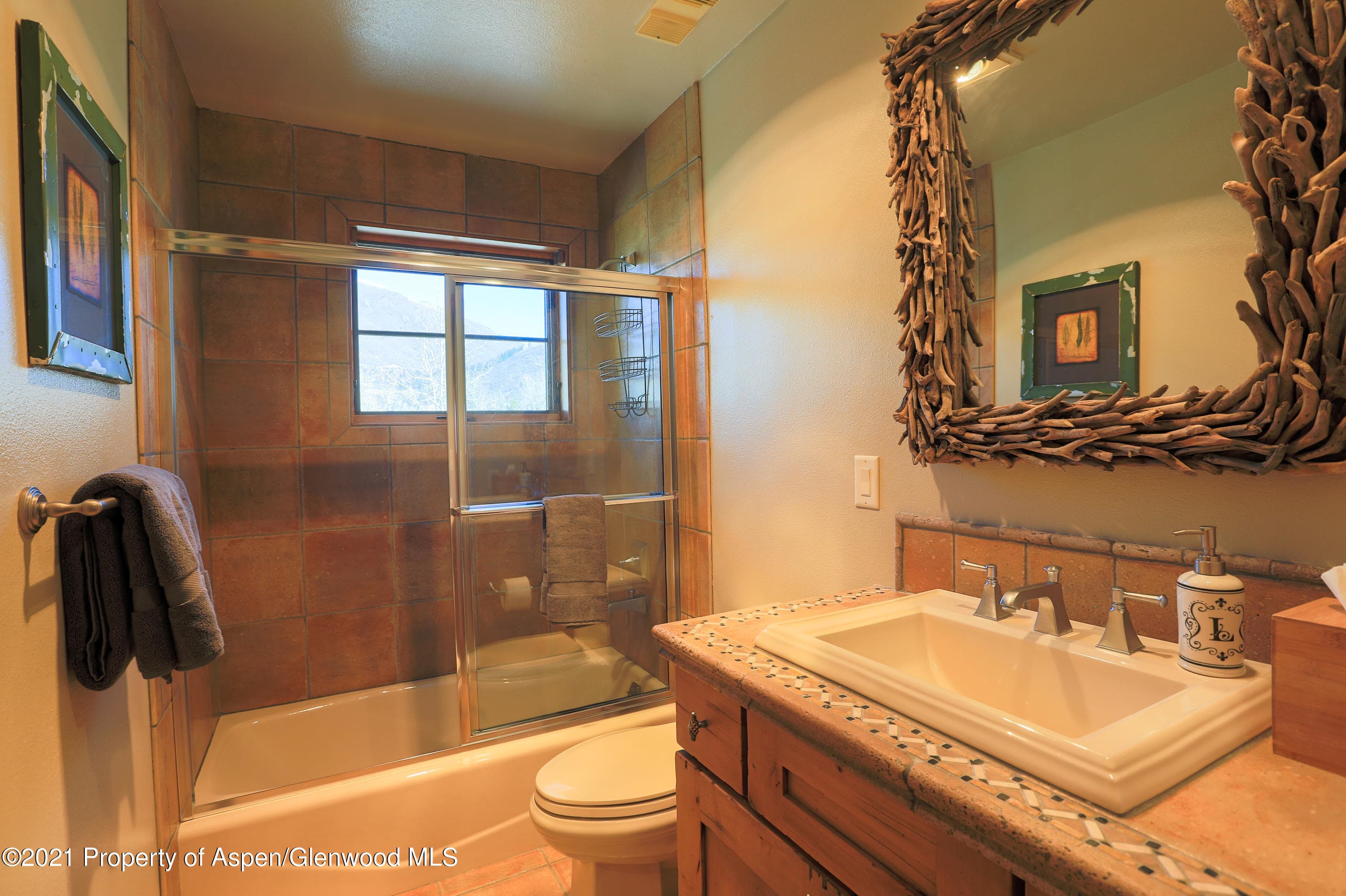 715 E Hopkins Avenue, Aspen, CO 81611 - Photo 16