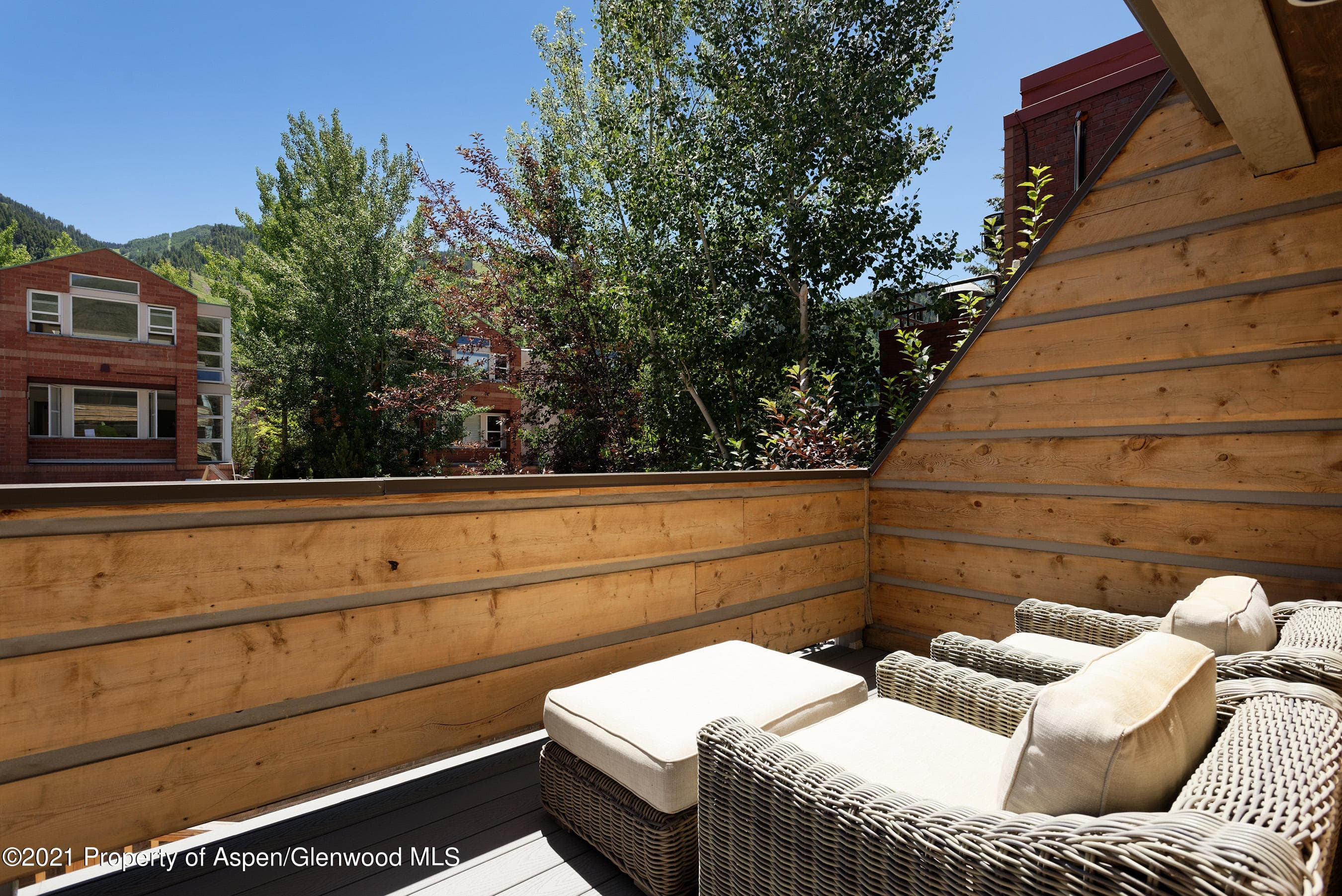 715 E Hopkins Avenue, Aspen, CO 81611 - Photo 20
