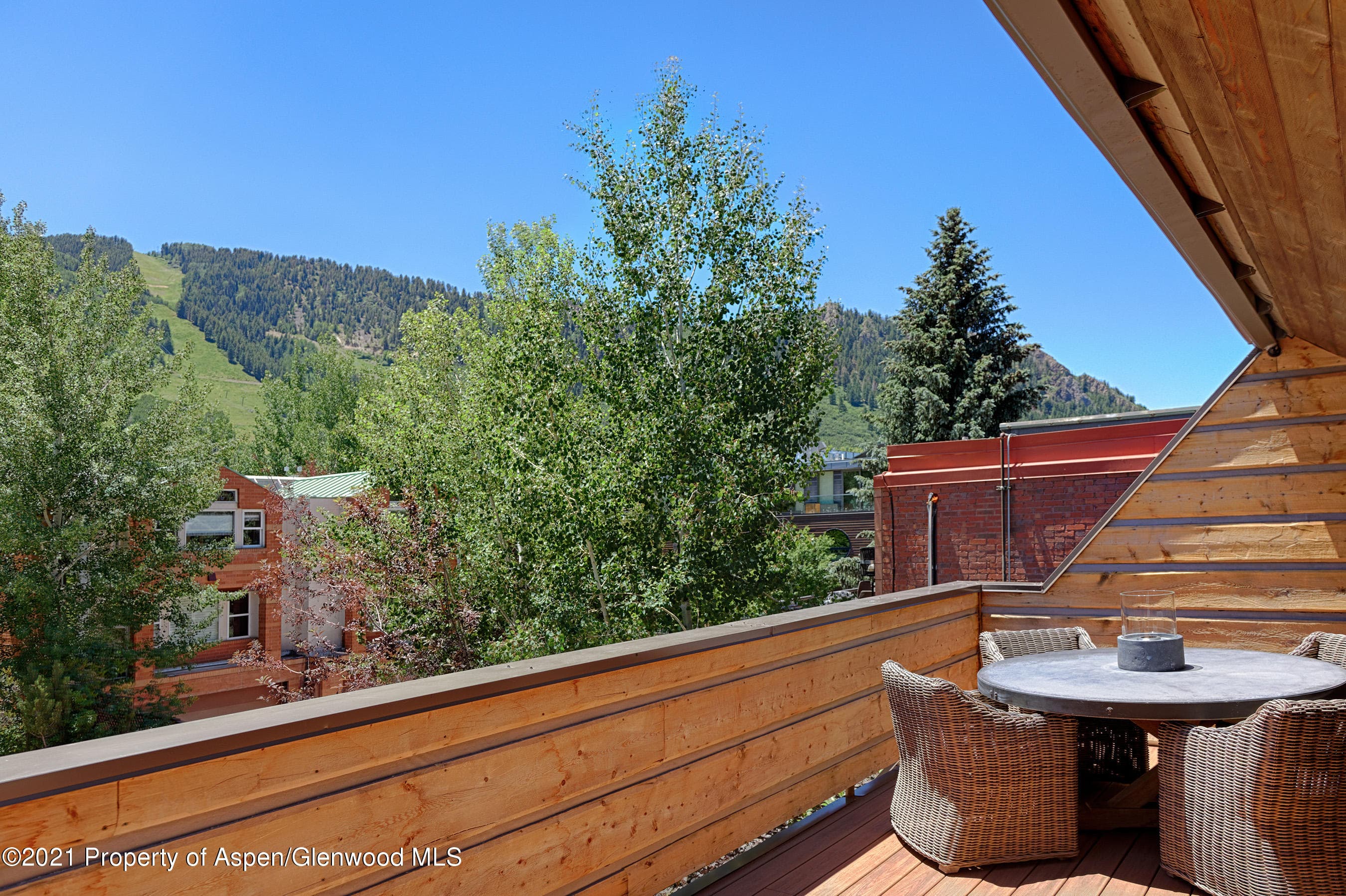 715 E Hopkins Avenue, Aspen, CO 81611 - Photo 21