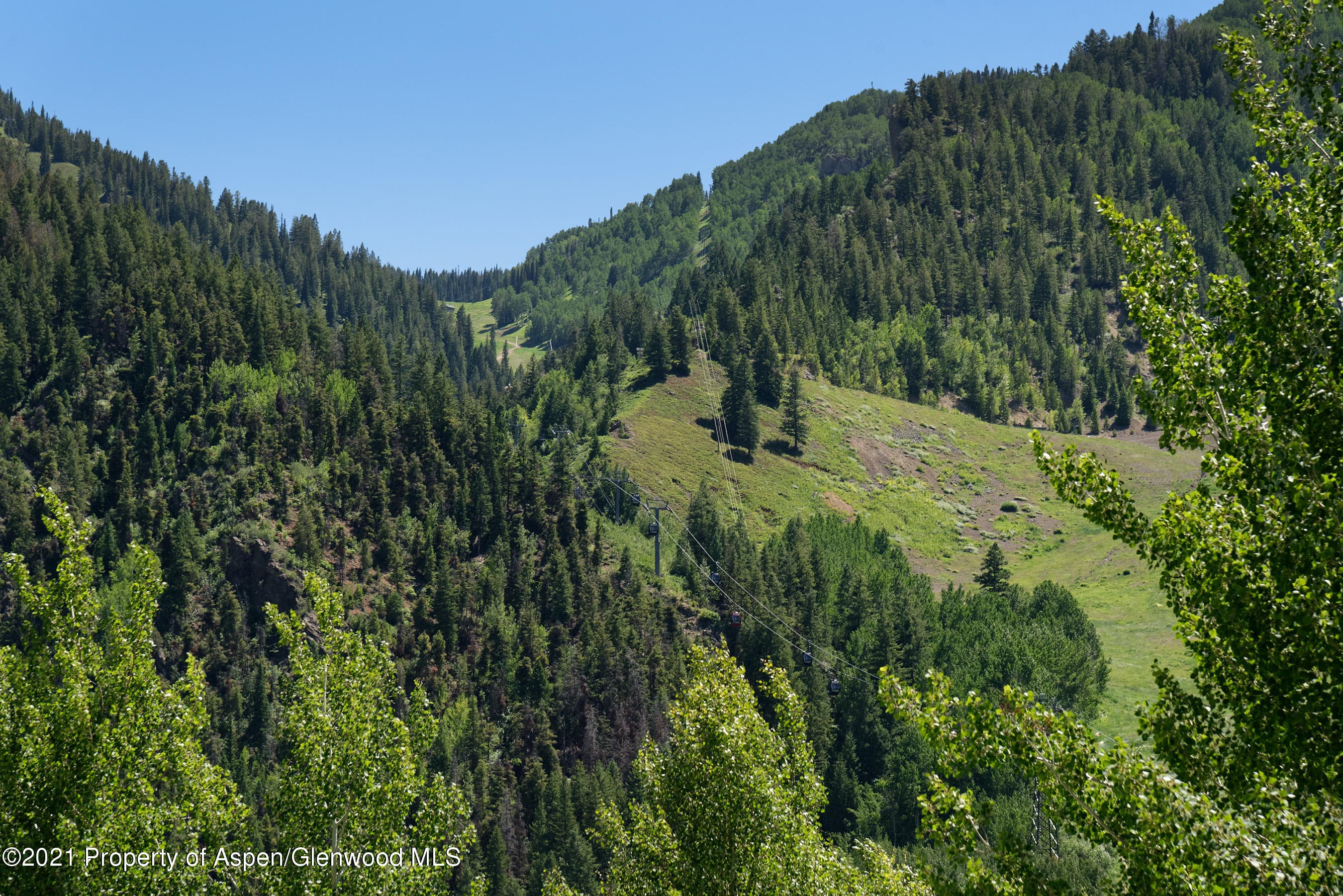 715 E Hopkins Avenue, Aspen, CO 81611 - Photo 23