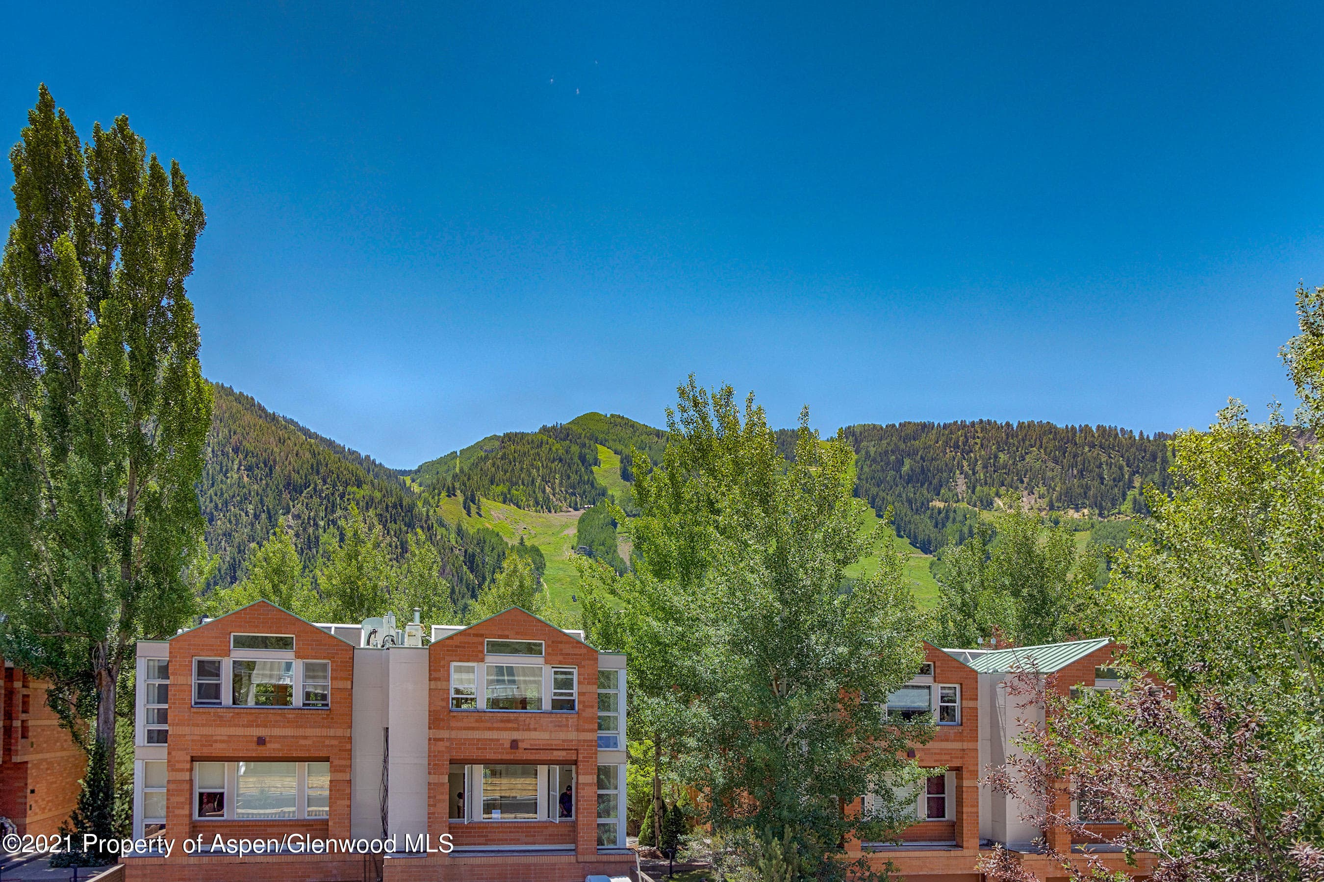 715 E Hopkins Avenue, Aspen, CO 81611 - Photo 24