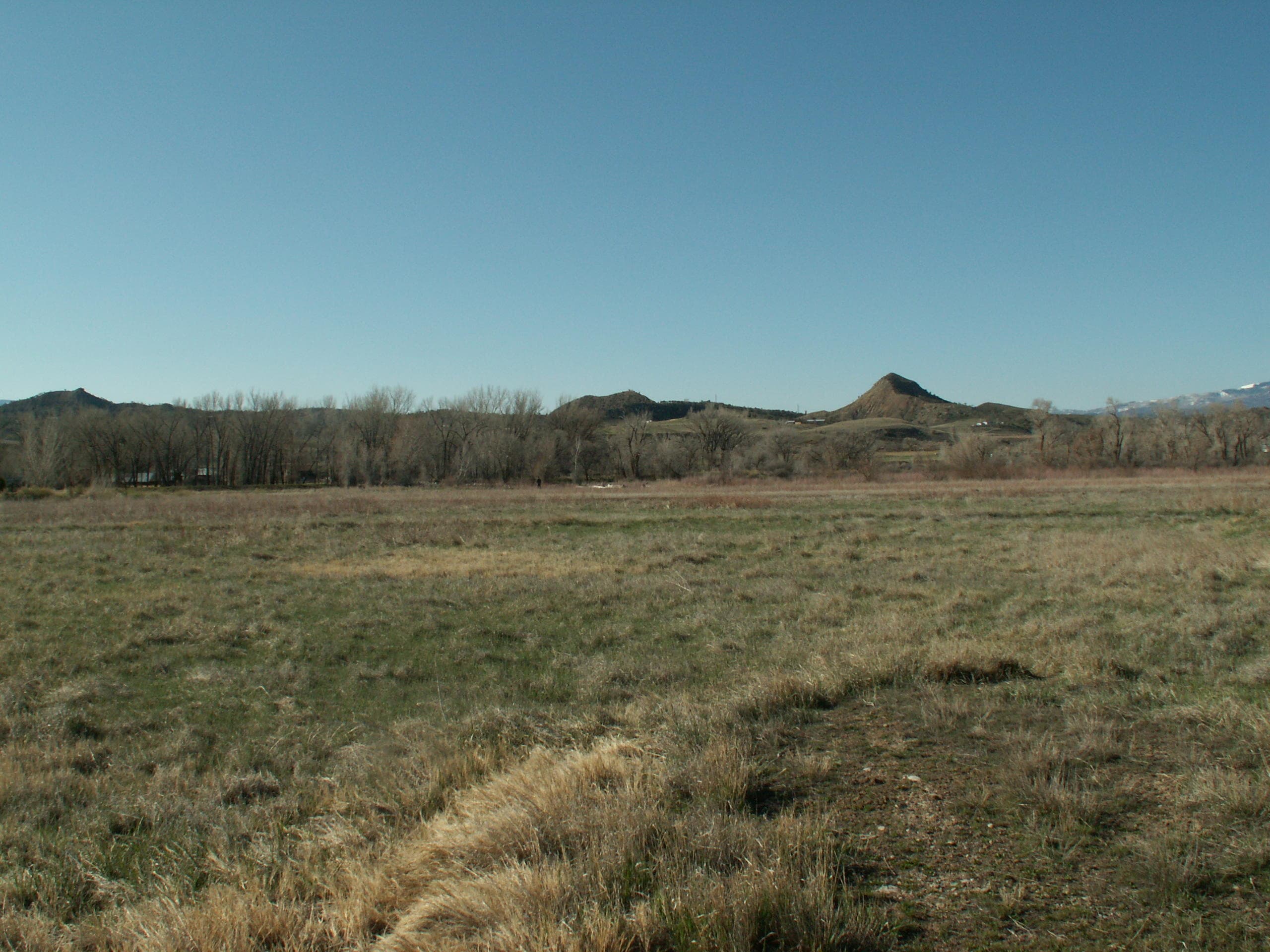 1421 River Frontage Road, Silt, CO 81652 - Photo 6