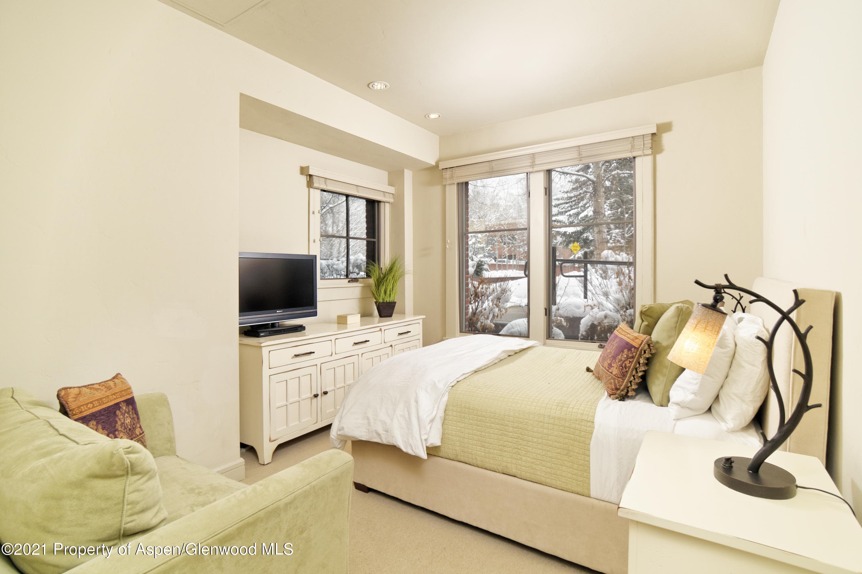 101 N Spring Street 102, Aspen, CO 81611 - Photo 9