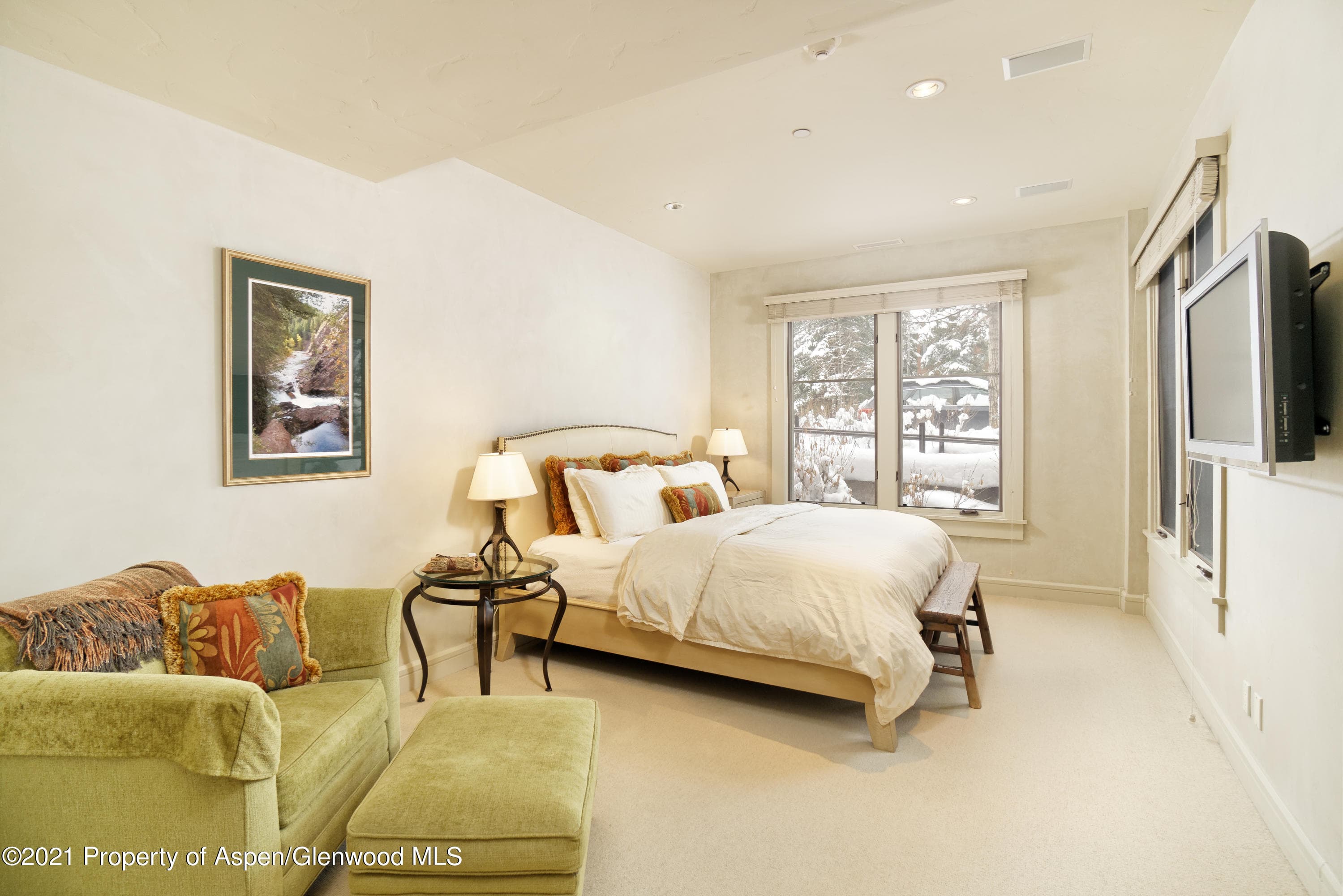 101 N Spring Street 102, Aspen, CO 81611 - Photo 6