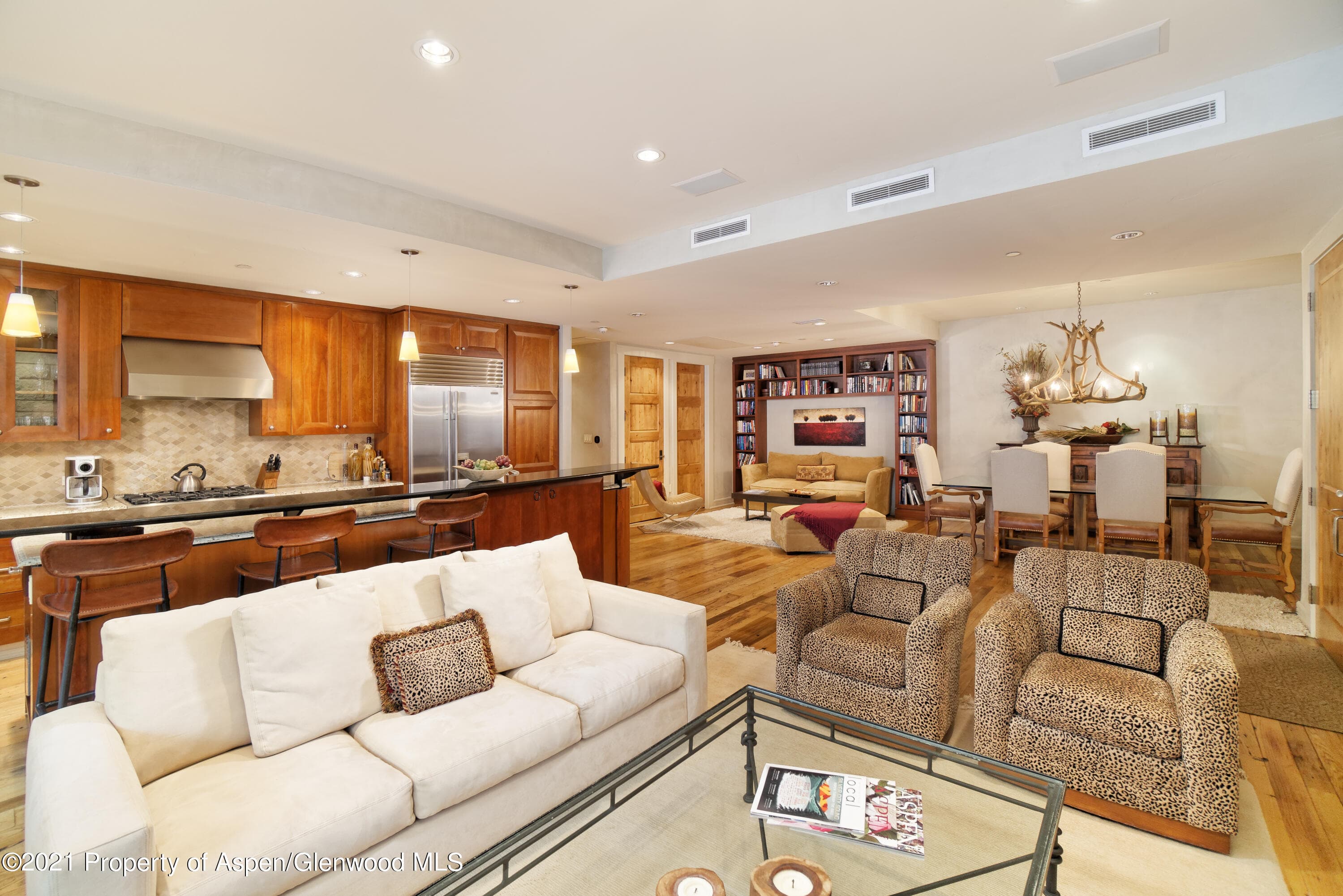 101 N Spring Street 102, Aspen, CO 81611 - Photo 11