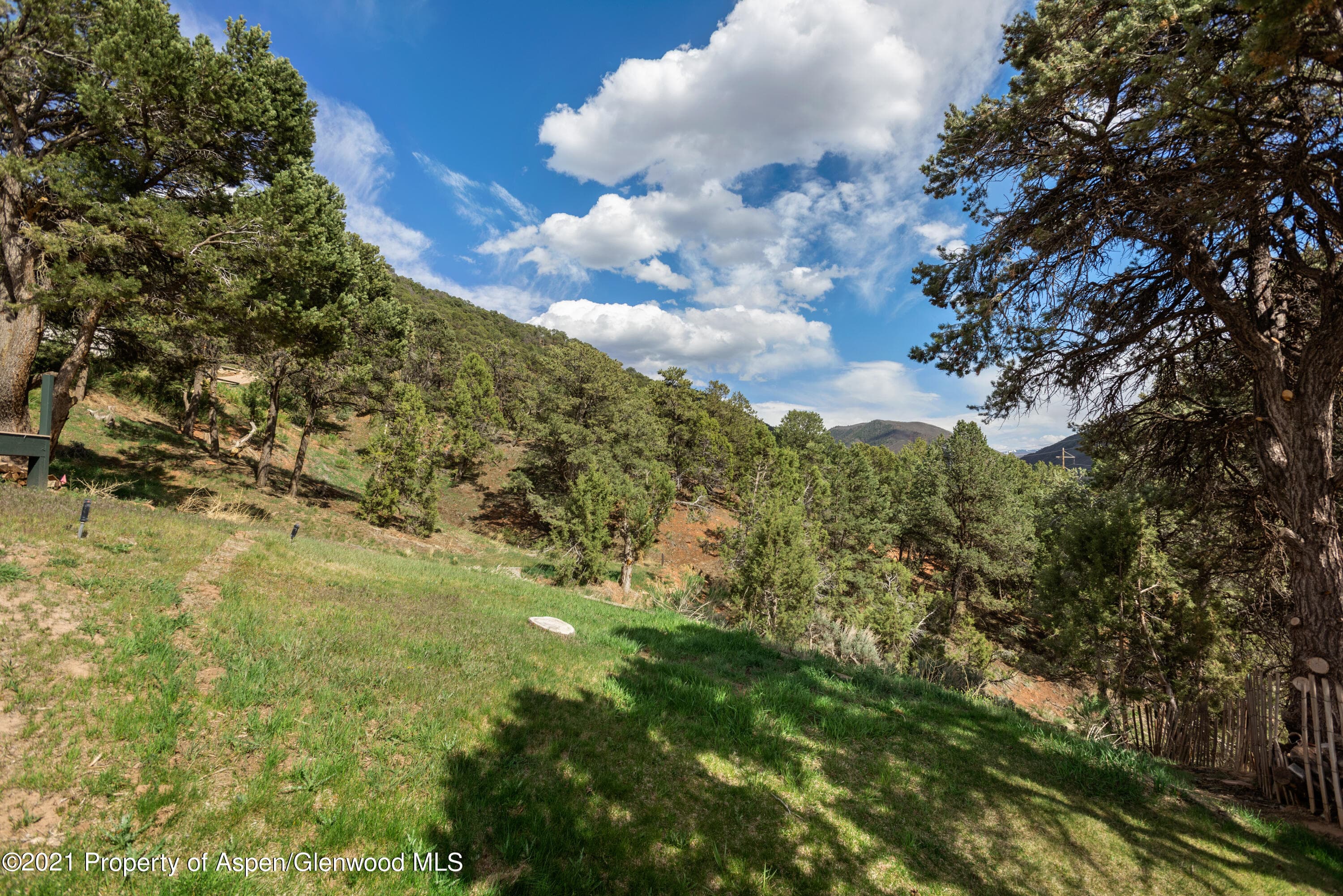 561 Booth Lane, Basalt, CO 81621 - Photo 18
