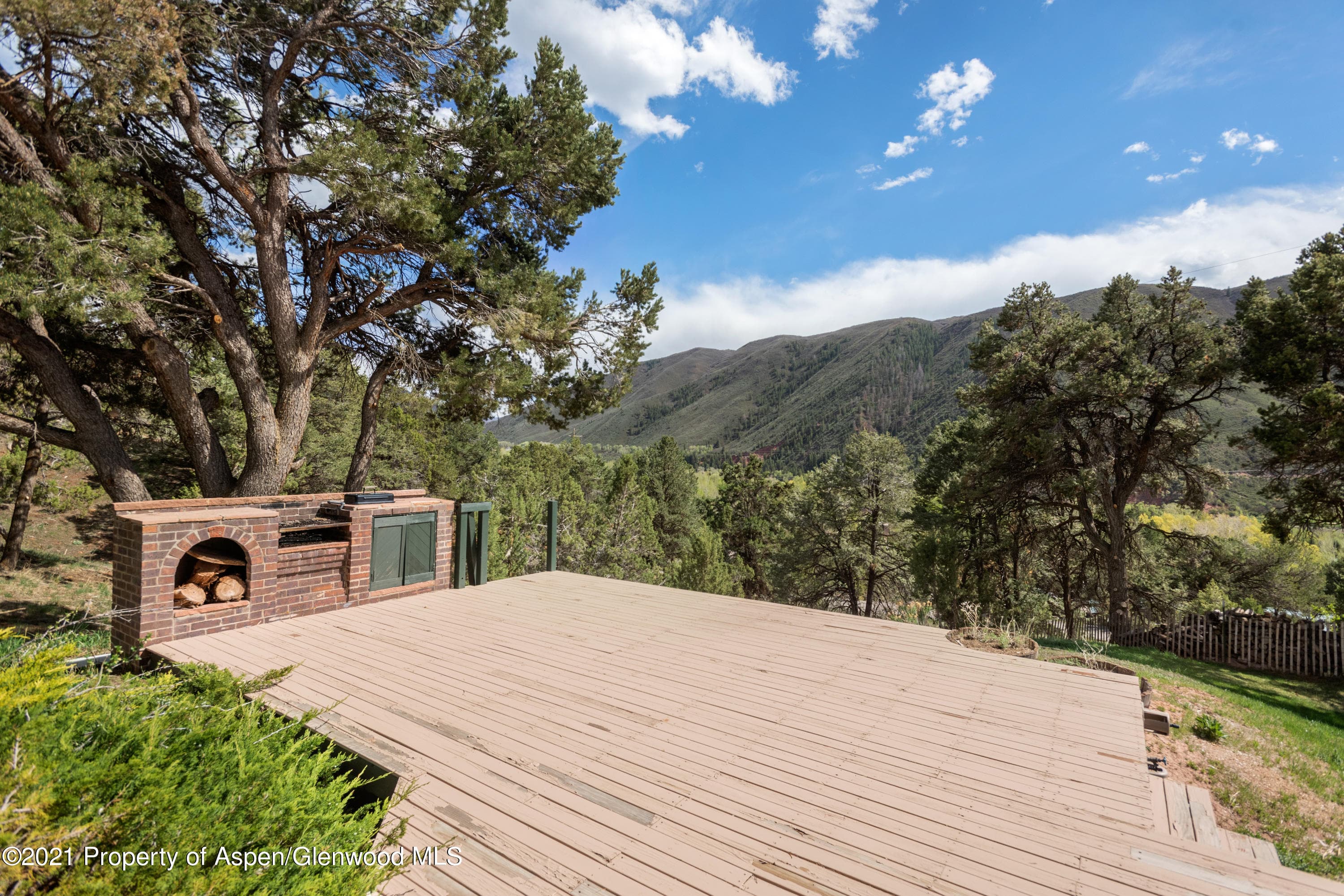 561 Booth Lane, Basalt, CO 81621 - Photo 16