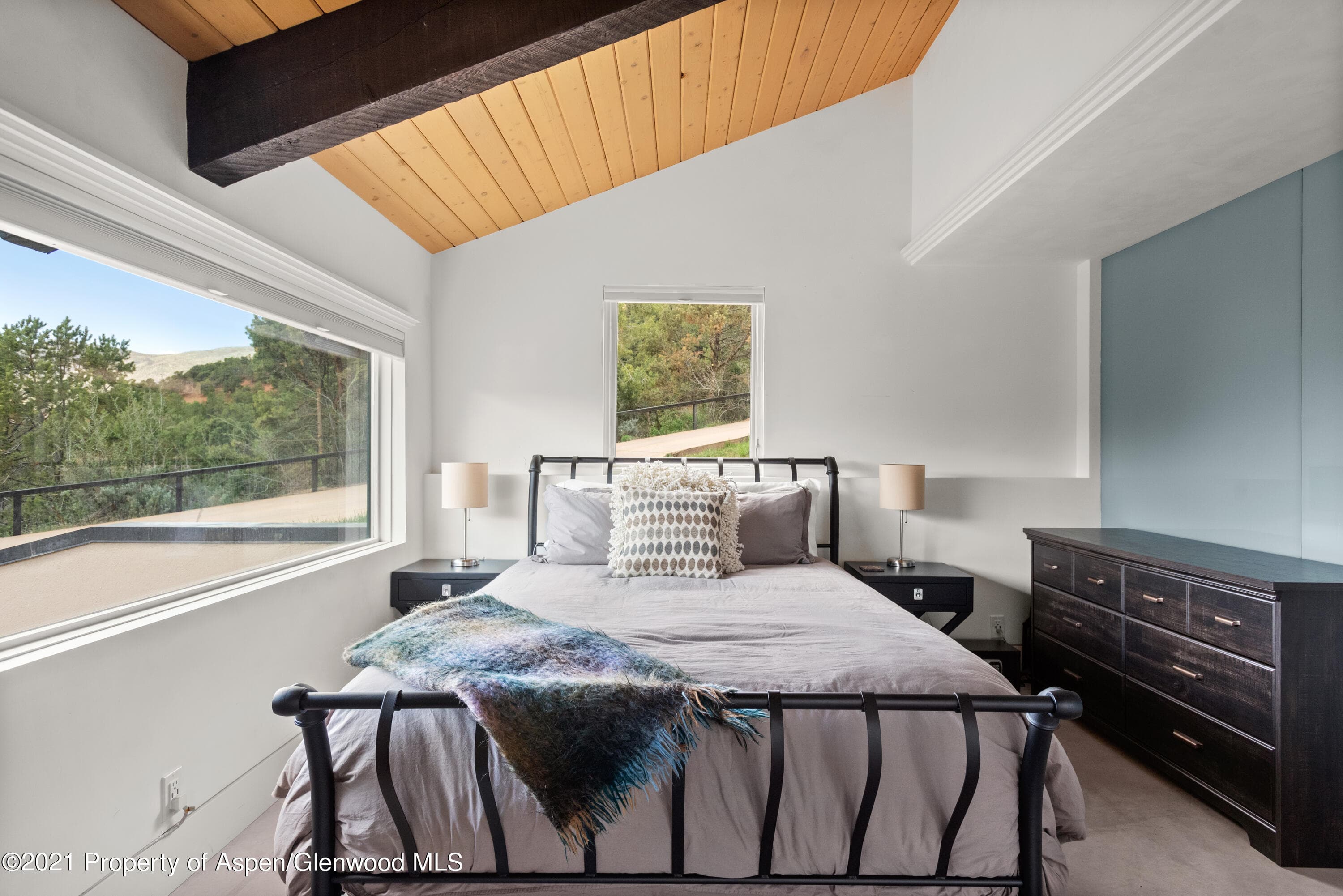 561 Booth Lane, Basalt, CO 81621 - Photo 5