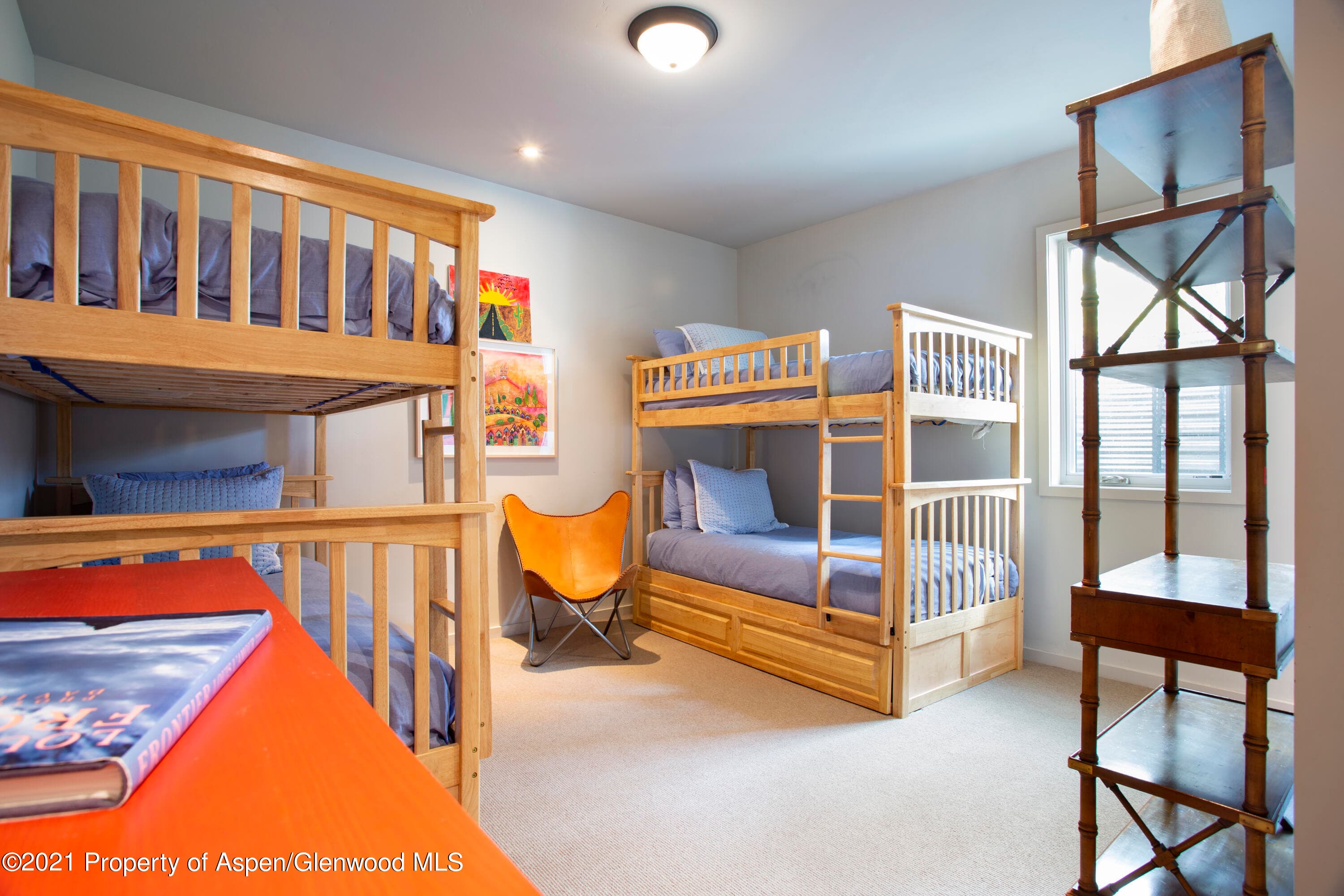 29 Hidden Lane, Snowmass Village, CO 81615 - Photo 11