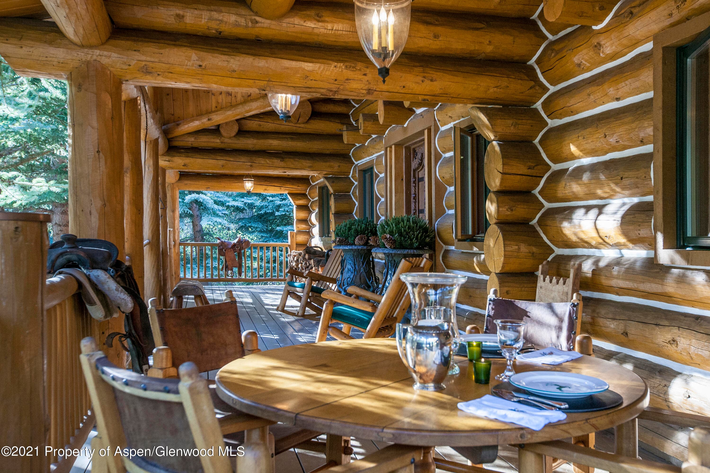 770 Twining Flats Rd, Woody Creek, CO 81656 - Photo 9