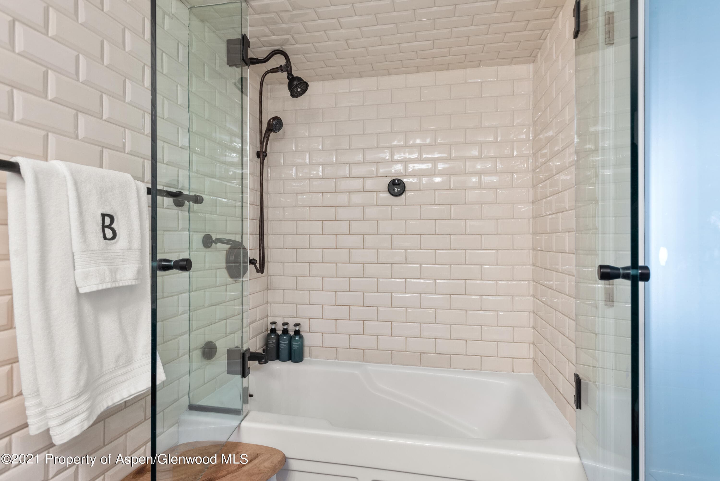 630 E Cooper Avenue 4, Aspen, CO 81611 - Photo 11