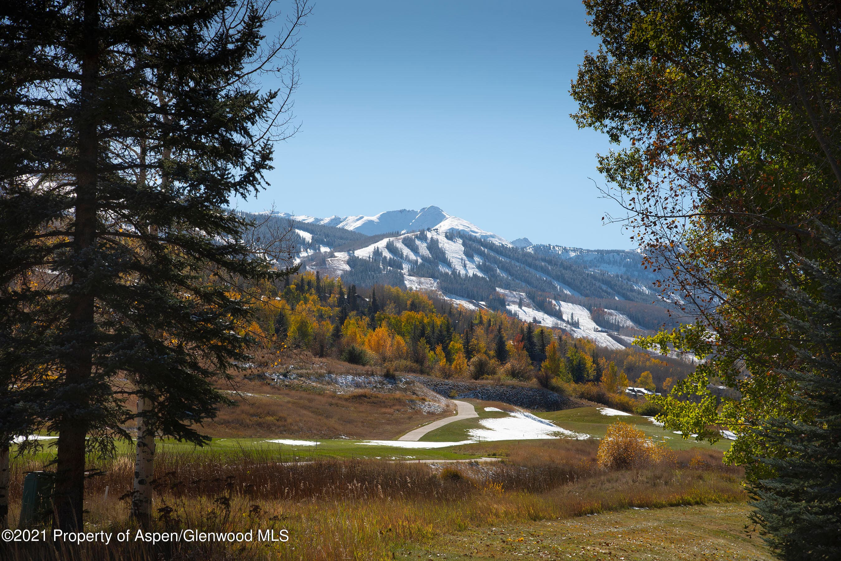 408 Snowmass Club Circle Unit 10, Snowmass Village, CO 81615 - Photo 34