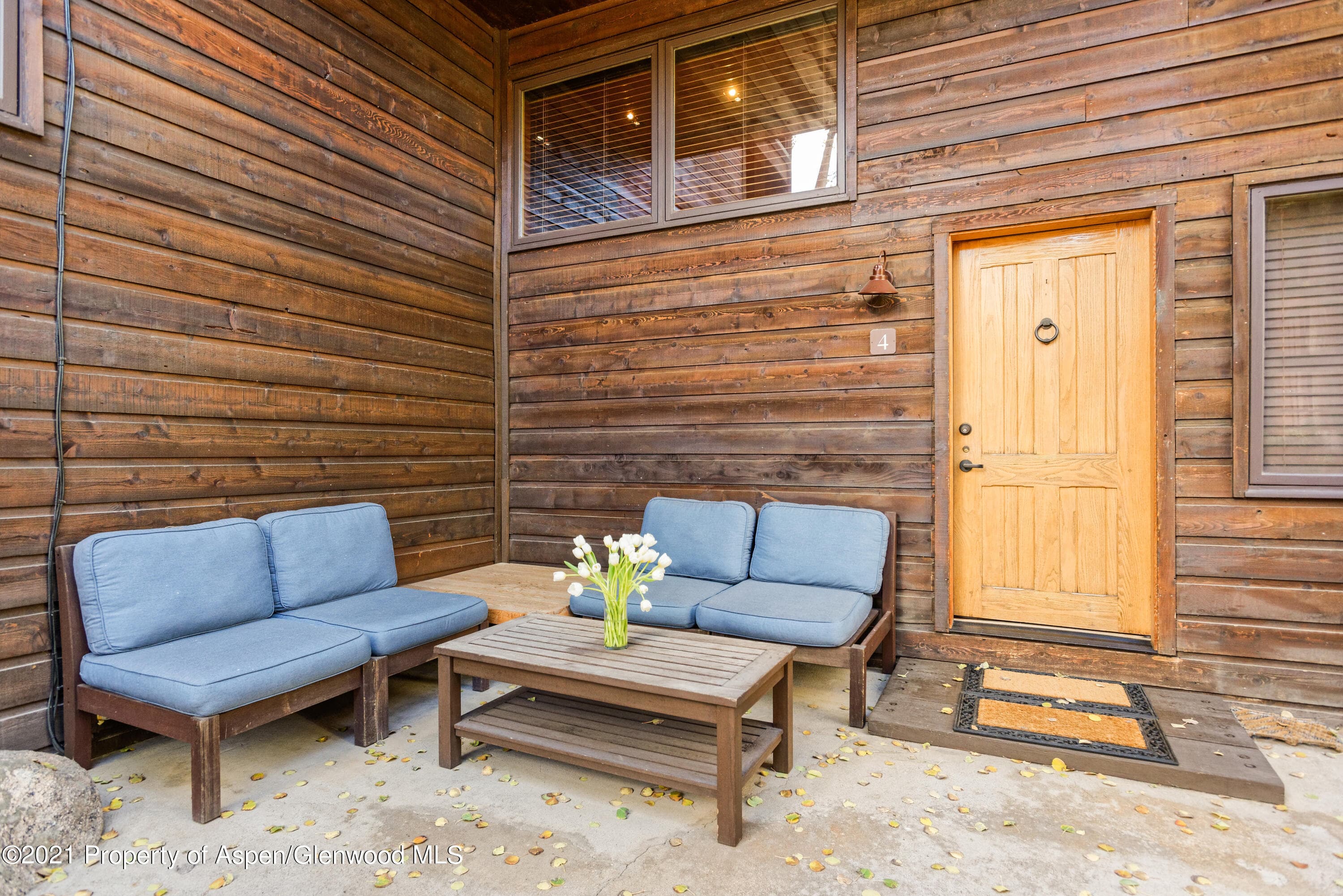 800 S Monarch Street #4, Aspen, CO 81611 - Photo 15