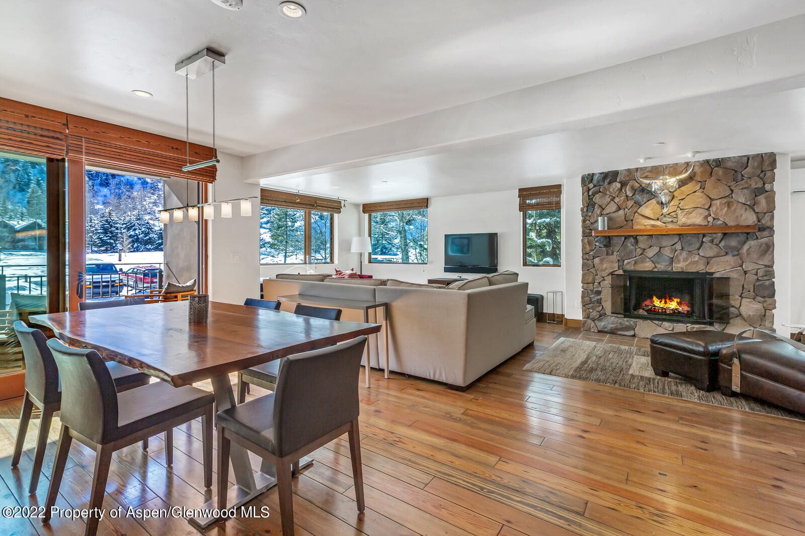 104 W Cooper Avenue 3, Aspen, CO 81611 - Photo 5