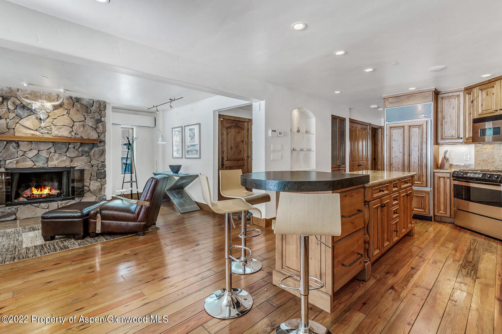 104 W Cooper Avenue 3, Aspen, CO 81611 - Photo 6