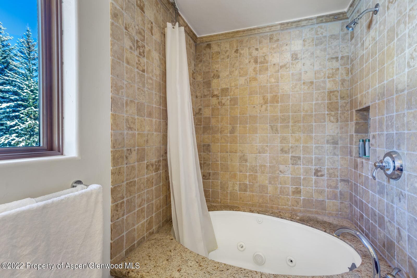 104 W Cooper Avenue 3, Aspen, CO 81611 - Photo 12