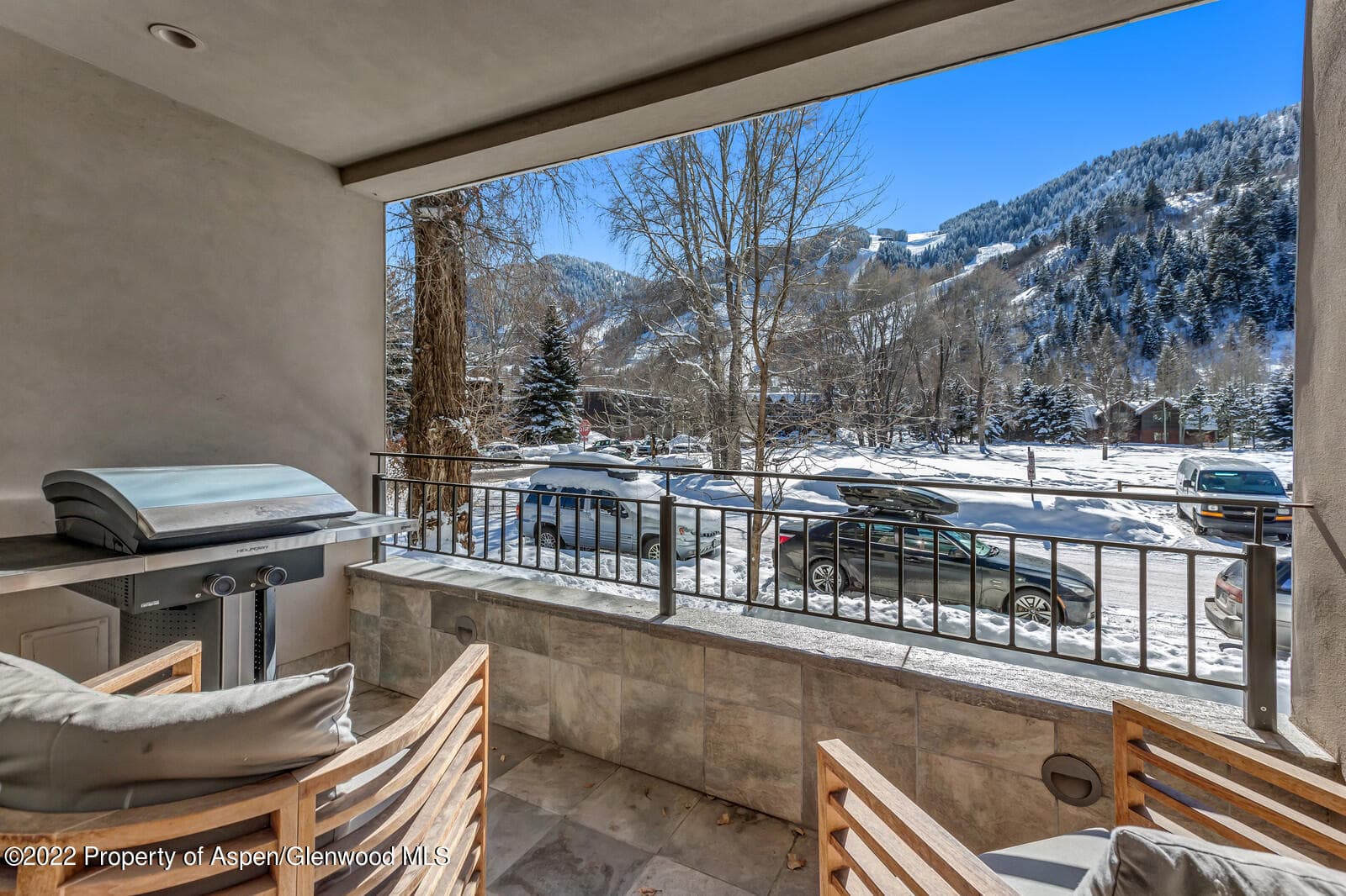 104 W Cooper Avenue 3, Aspen, CO 81611 - Photo 14