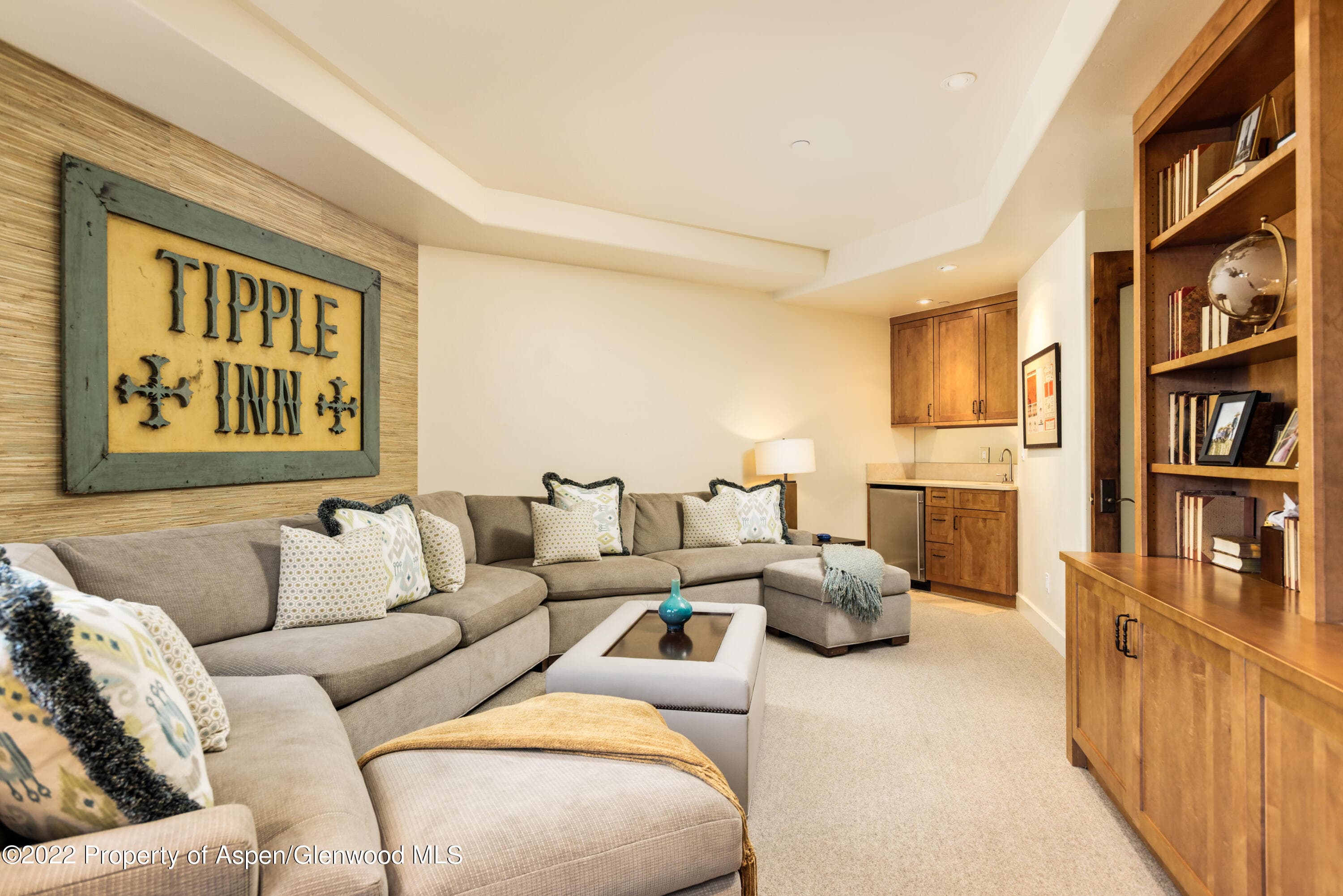 704 S Galena Street, Aspen, CO 81611 - Photo 15