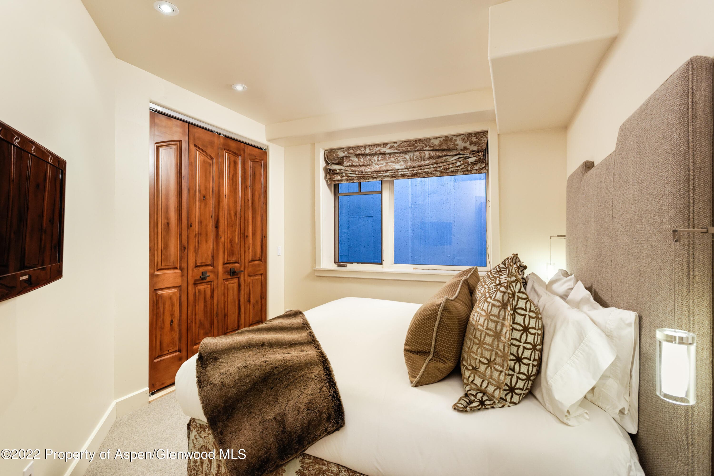 704 S Galena Street, Aspen, CO 81611 - Photo 12