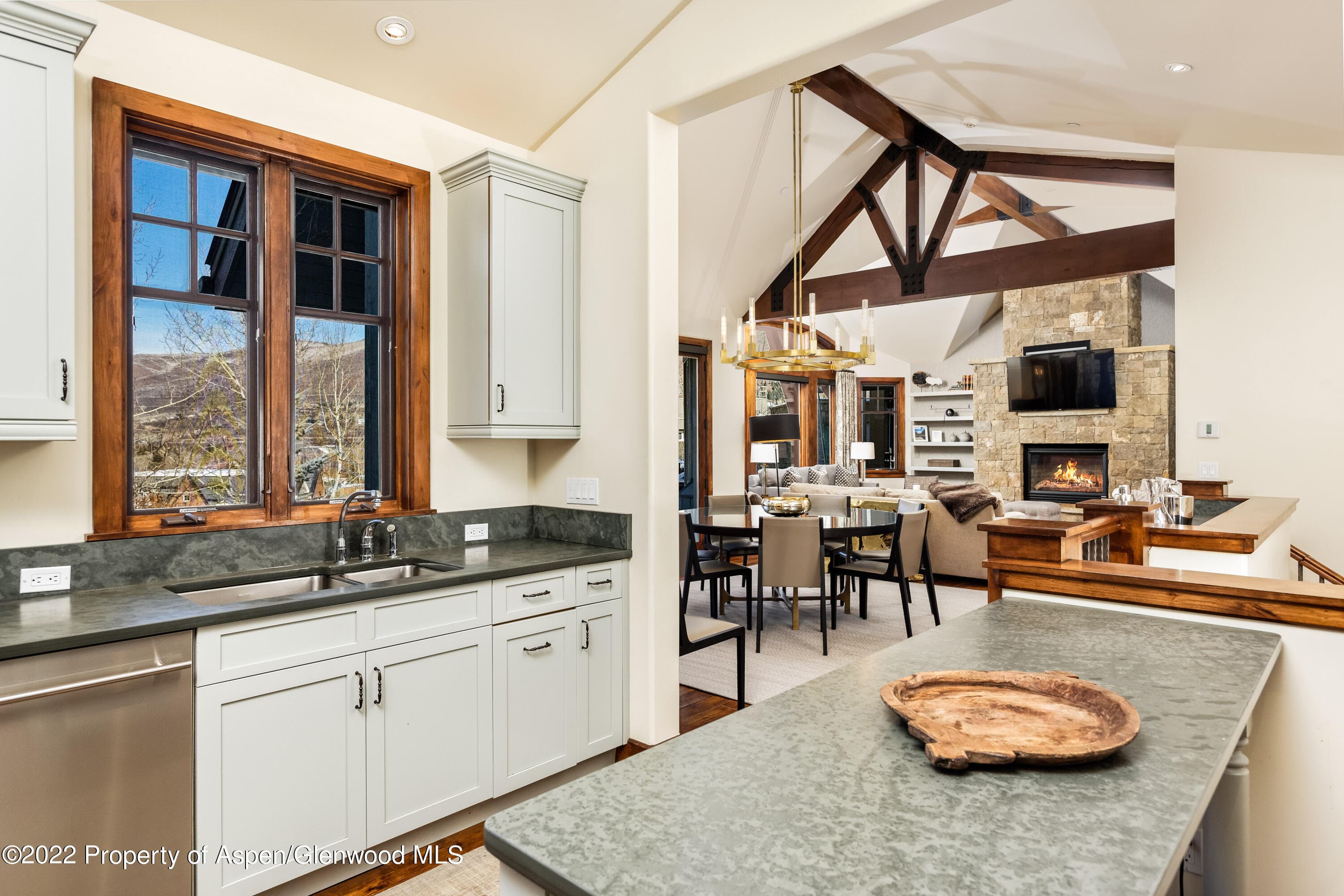 704 S Galena Street, Aspen, CO 81611 - Photo 7