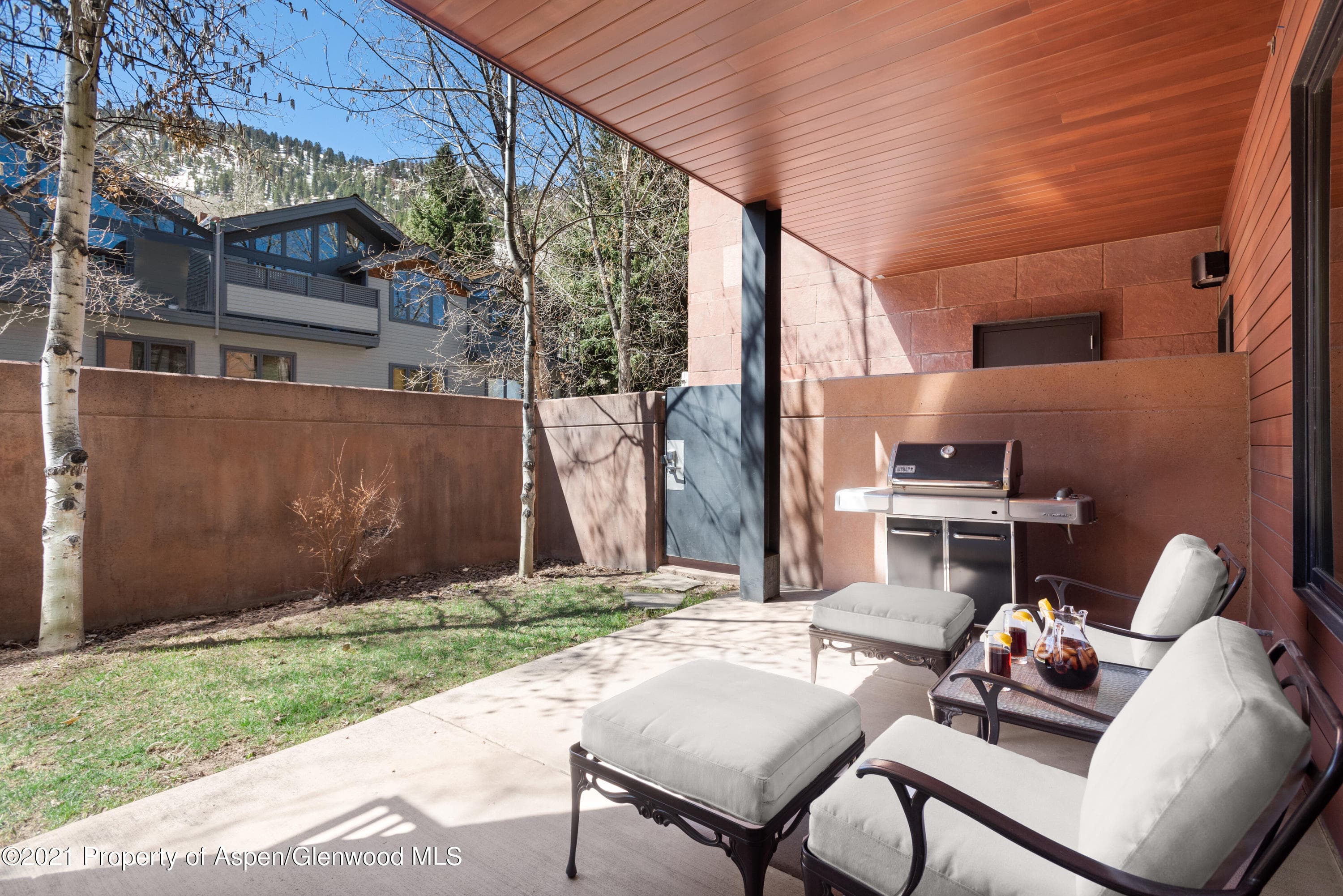 233 E Cooper Avenue 104, Aspen, CO 81611 - Photo 10