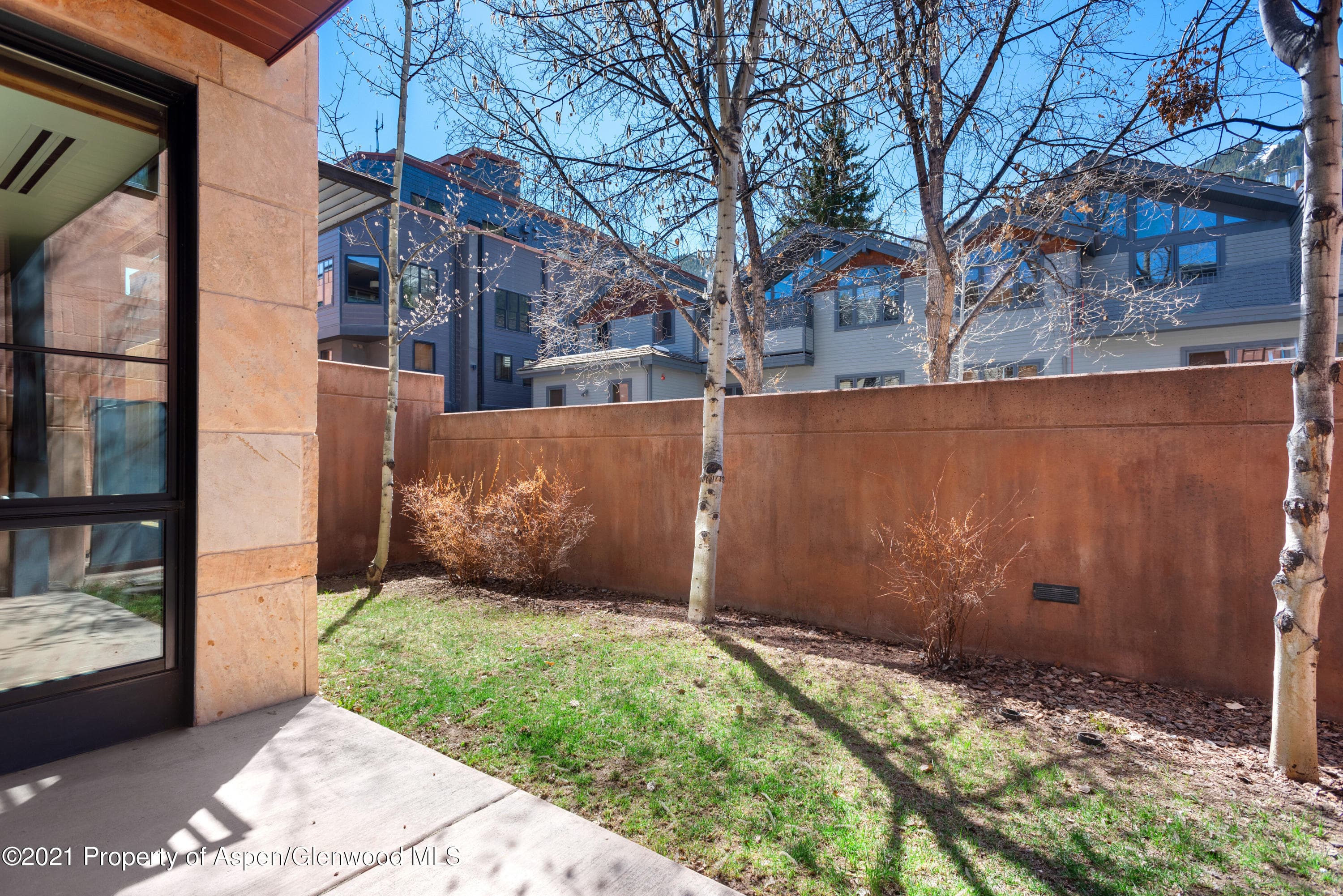 233 E Cooper Avenue 104, Aspen, CO 81611 - Photo 11