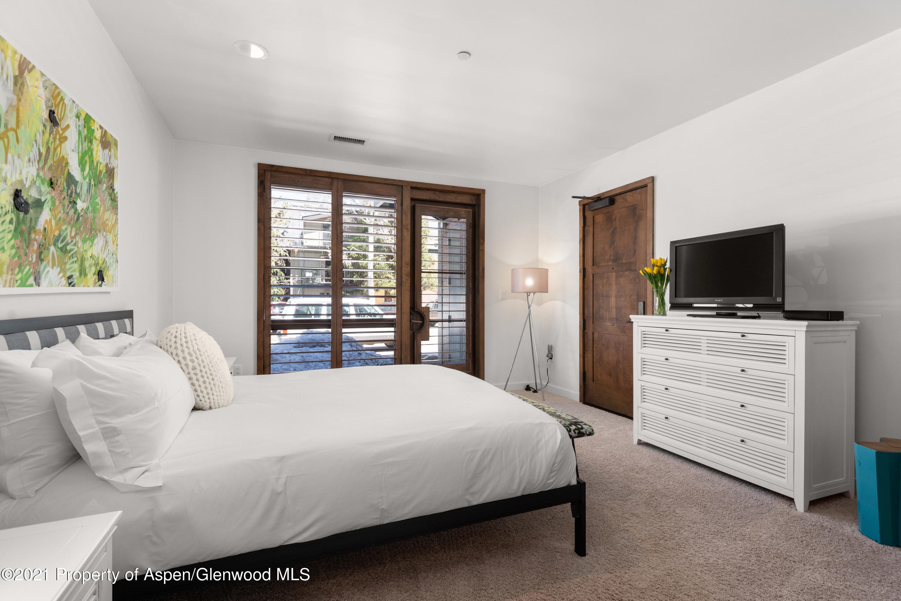 233 E Cooper Avenue 104, Aspen, CO 81611 - Photo 19
