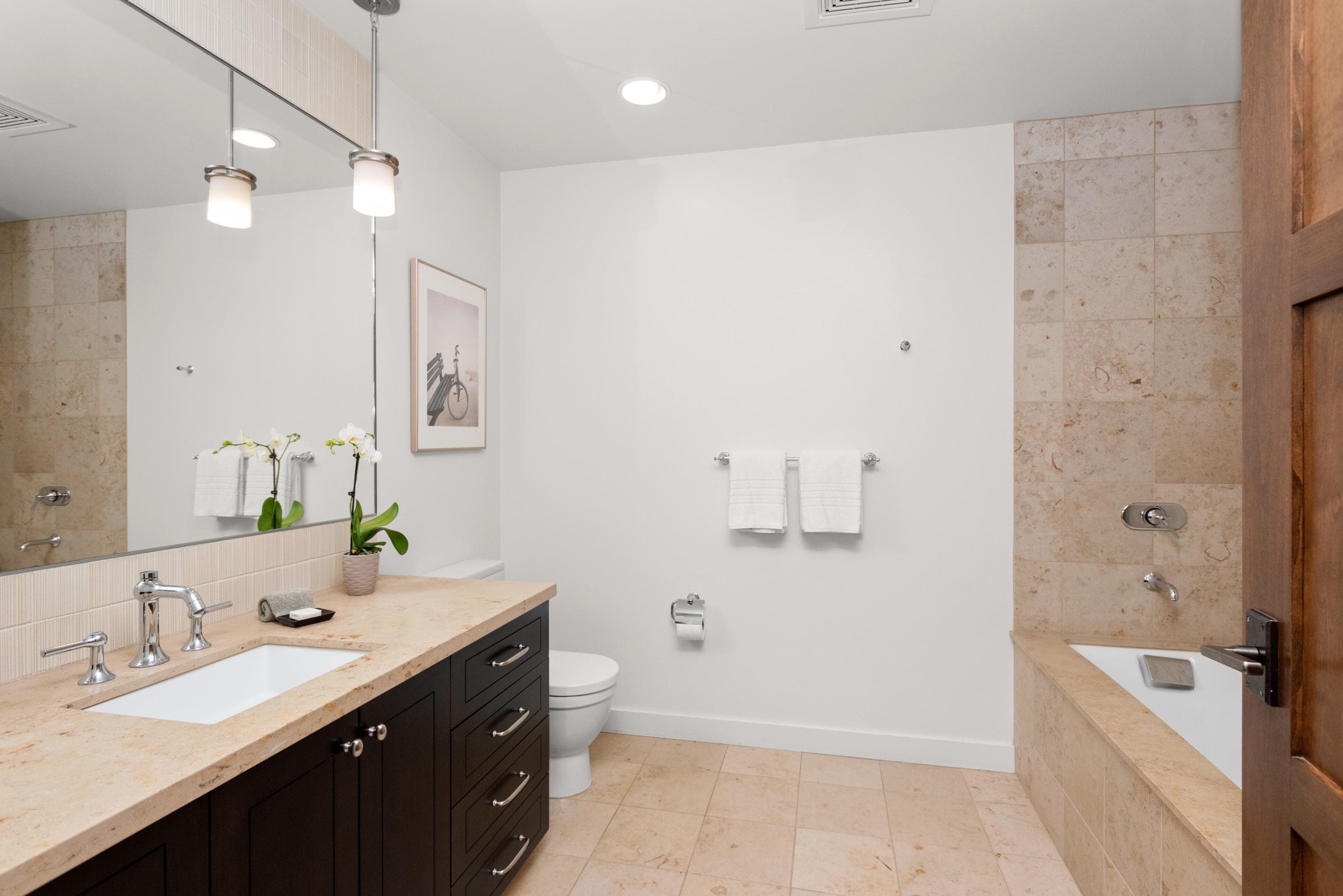 233 E Cooper Avenue 104, Aspen, CO 81611 - Photo 20