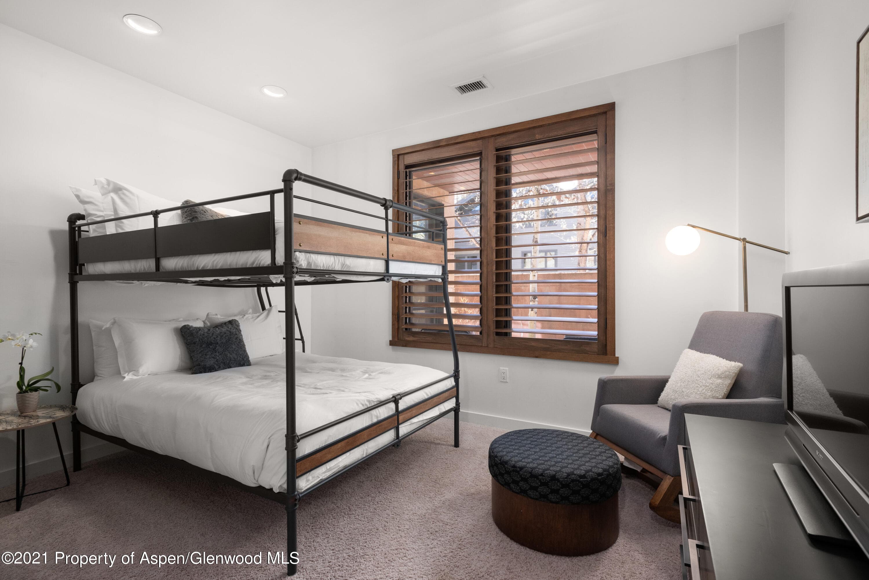 233 E Cooper Avenue 104, Aspen, CO 81611 - Photo 25