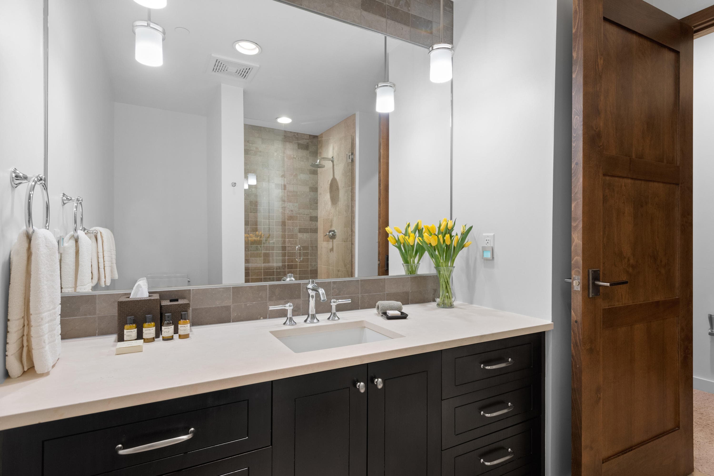 233 E Cooper Avenue 104, Aspen, CO 81611 - Photo 26
