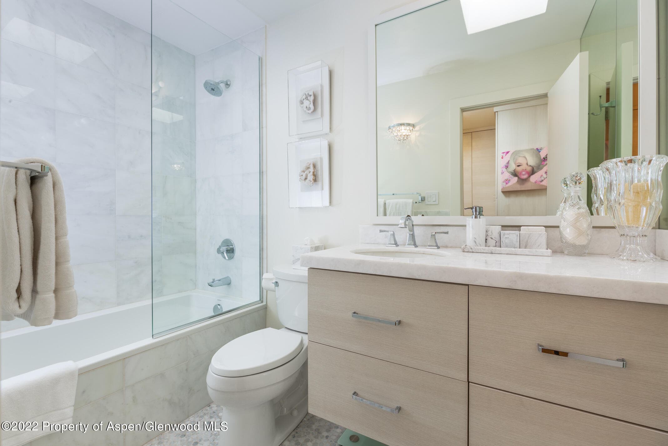 124 E Durant Avenue 2, Aspen, CO 81611 - Photo 8