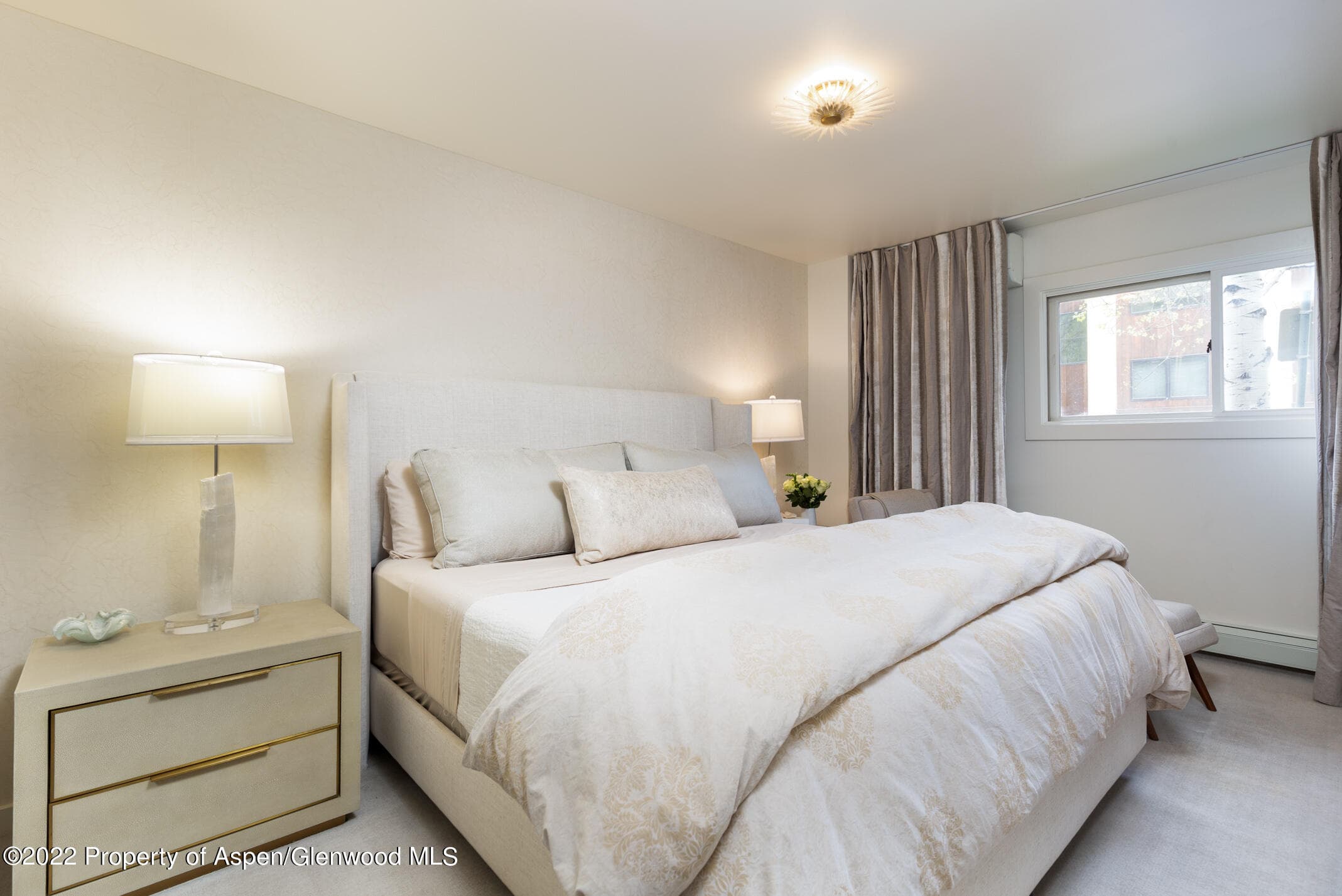 124 E Durant Avenue 2, Aspen, CO 81611 - Photo 11