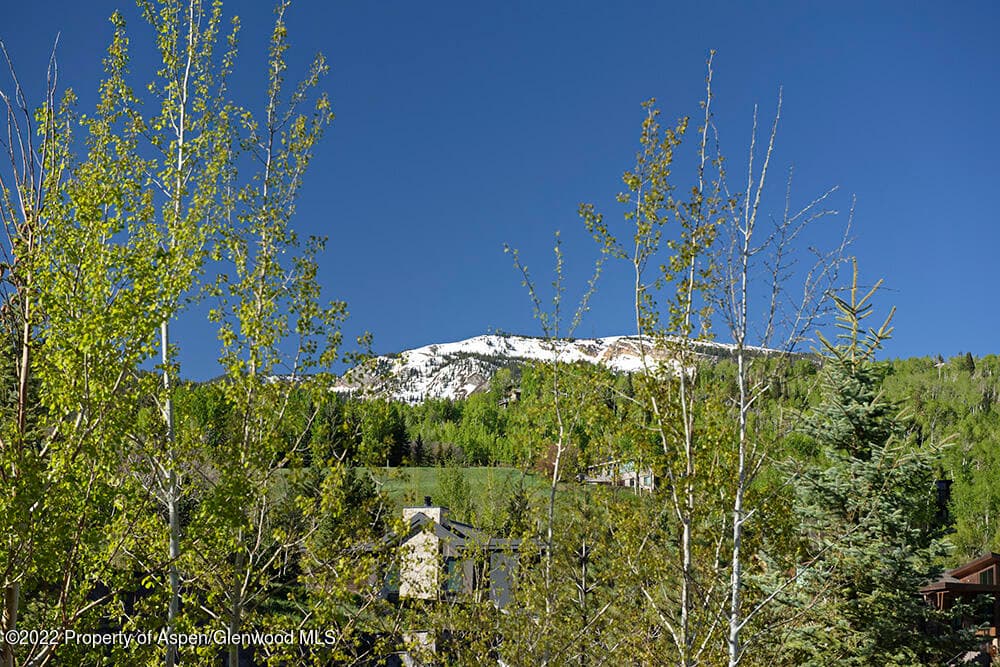 27 Turkey Trot Court, Snowmass Village, CO 81615 - Photo 44