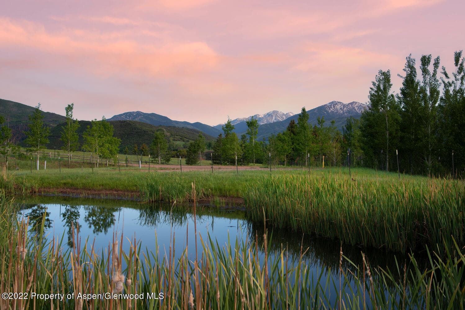 30 Little Ditch Road, Woody Creek, CO 81656