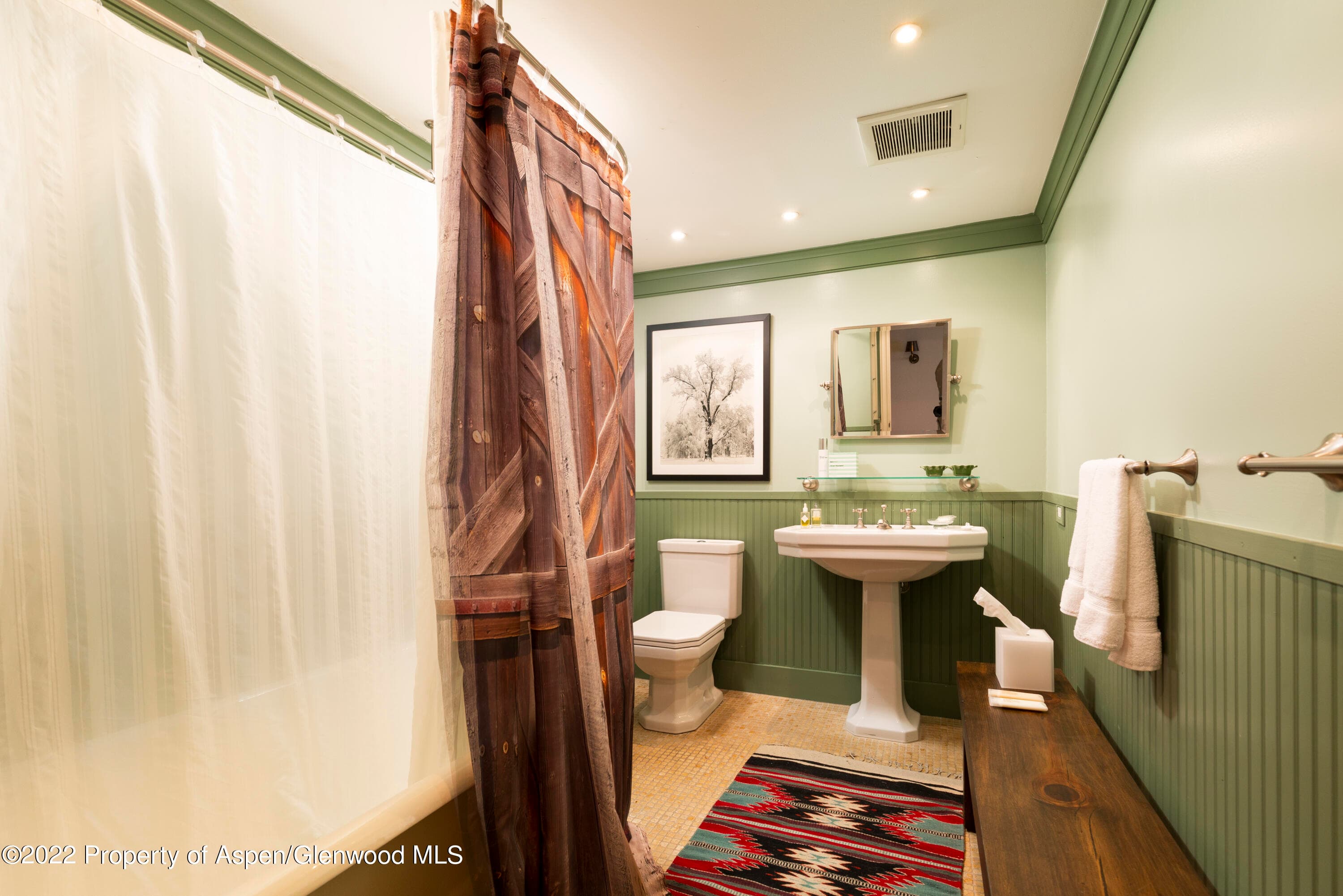 700 S Ute Avenue 202, Aspen, CO 81611 - Photo 12