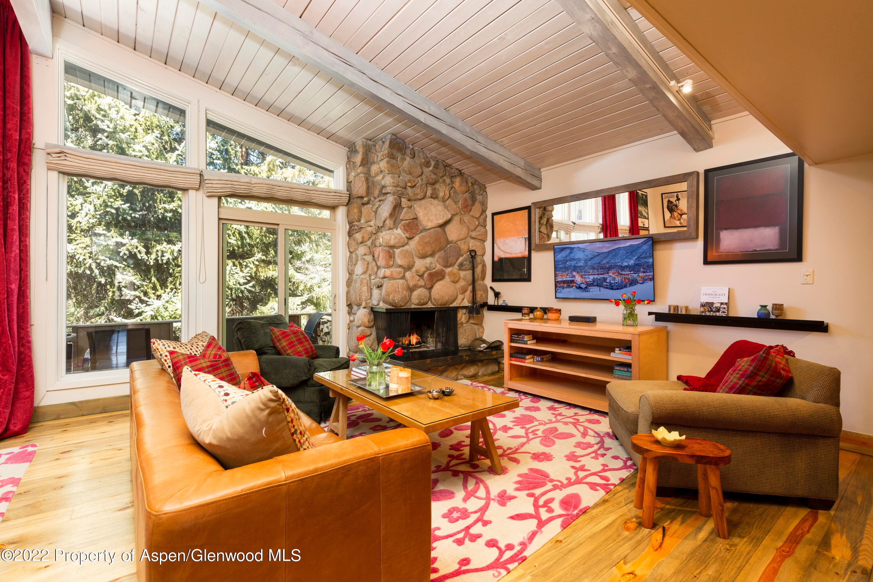 700 S Ute Avenue 210, Aspen, CO 81611 - Photo 4