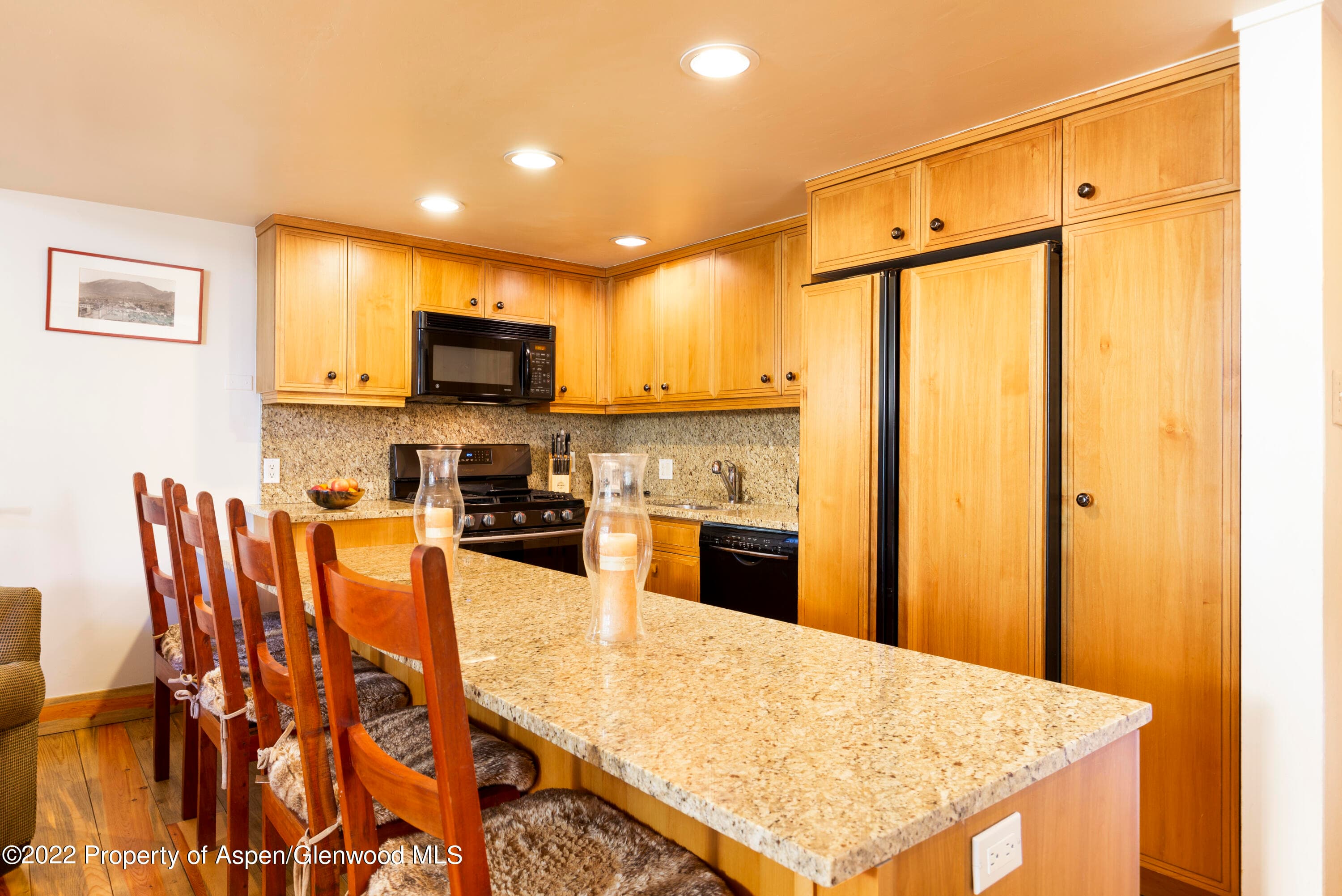 700 S Ute Avenue 210, Aspen, CO 81611 - Photo 5