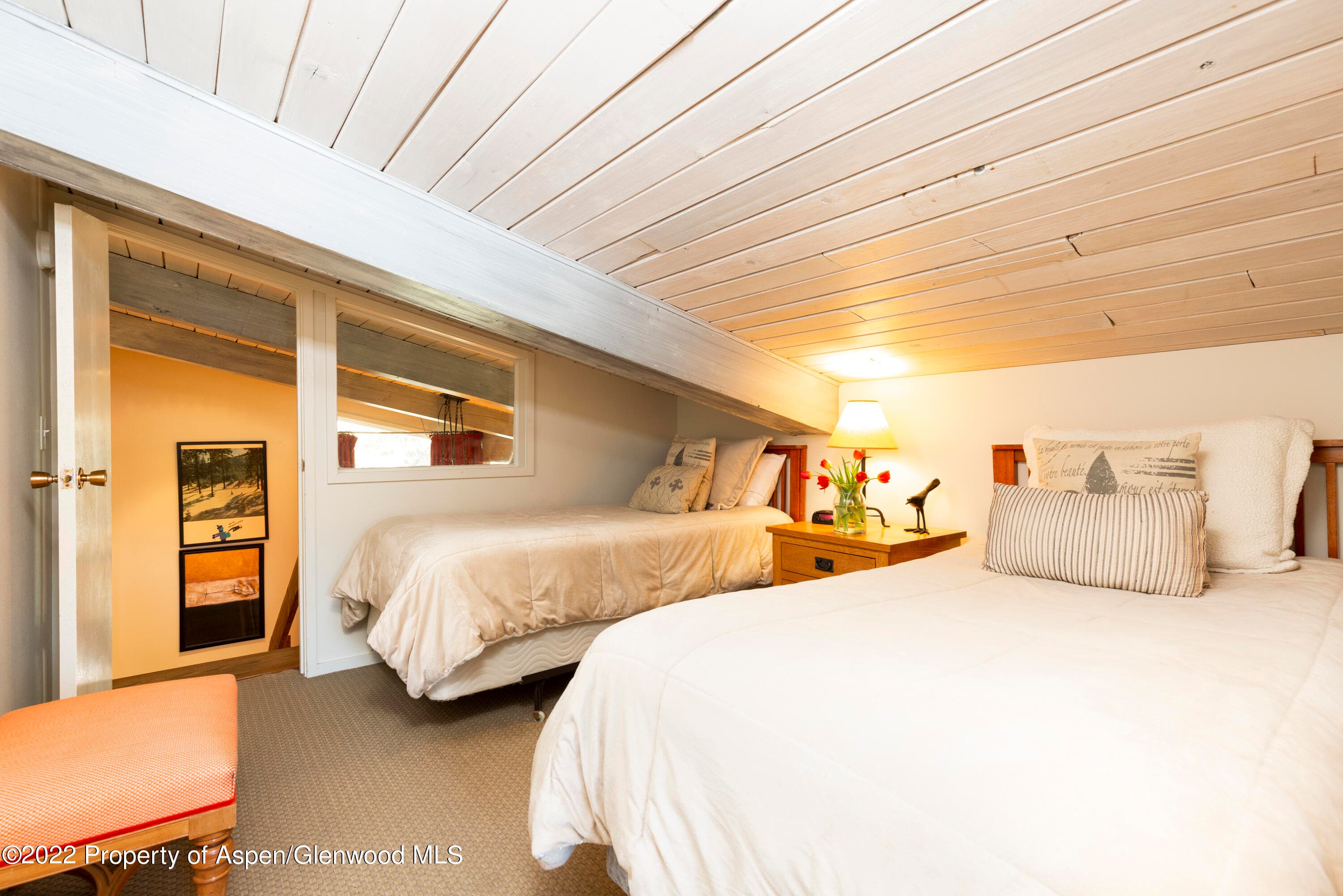 700 S Ute Avenue 210, Aspen, CO 81611 - Photo 10