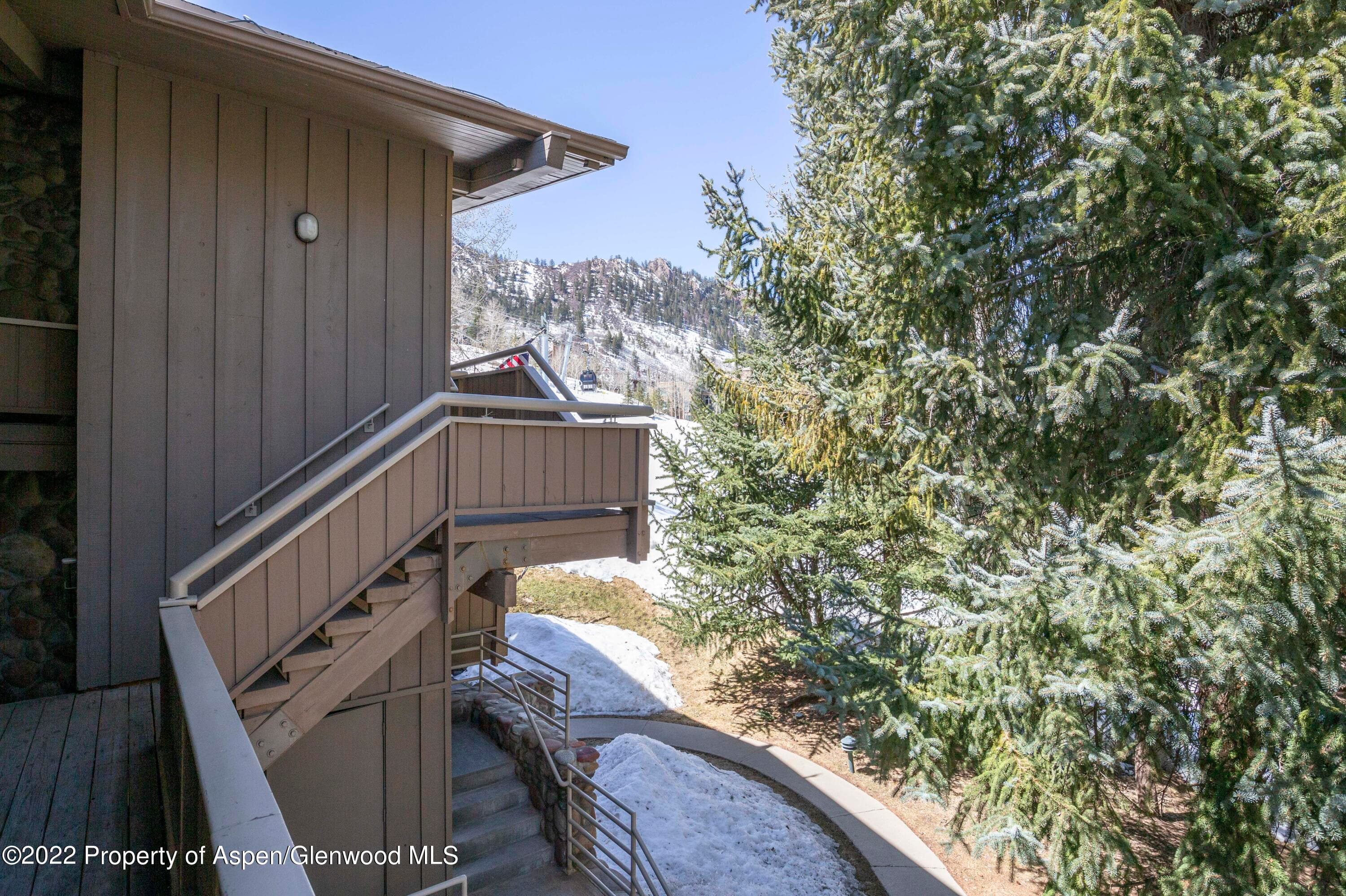 700 S Ute Avenue 210, Aspen, CO 81611 - Photo 11