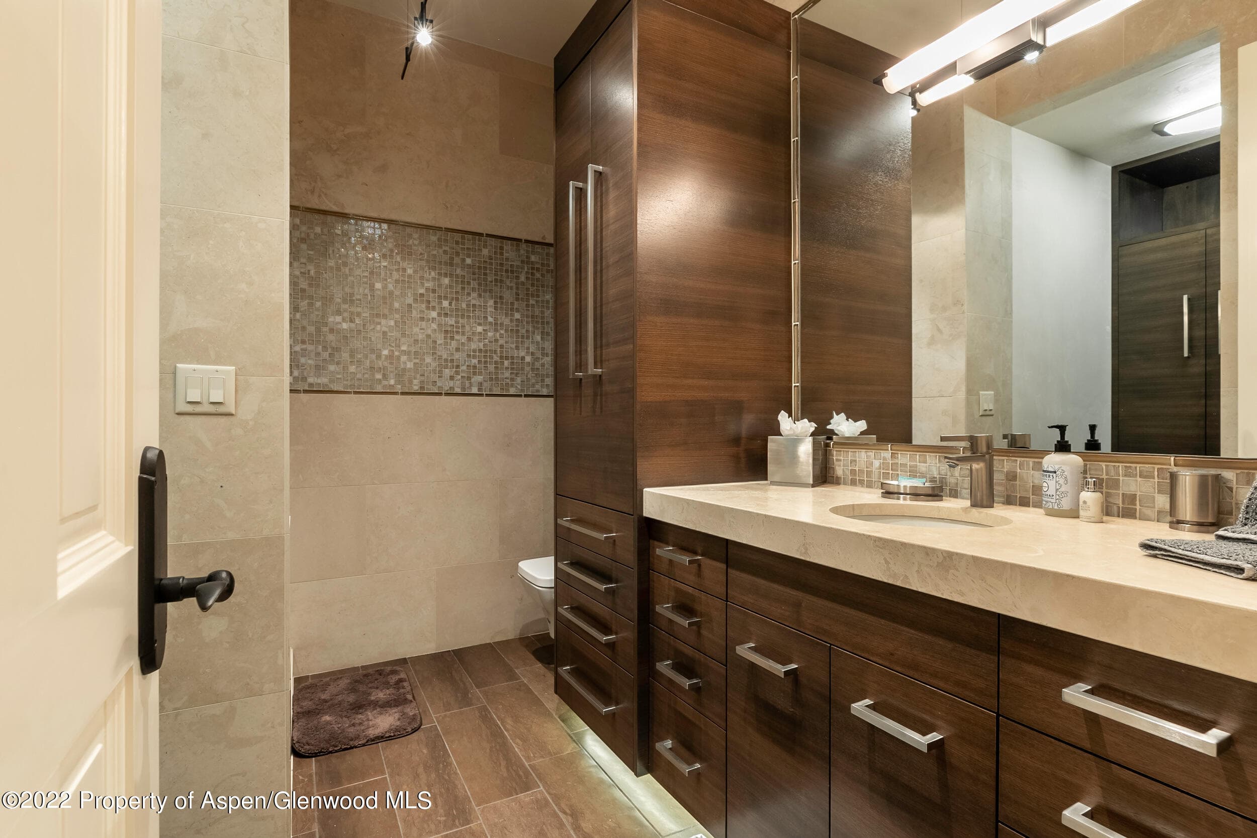 135 W Hopkins Avenue, Aspen, CO 81611 - Photo 15