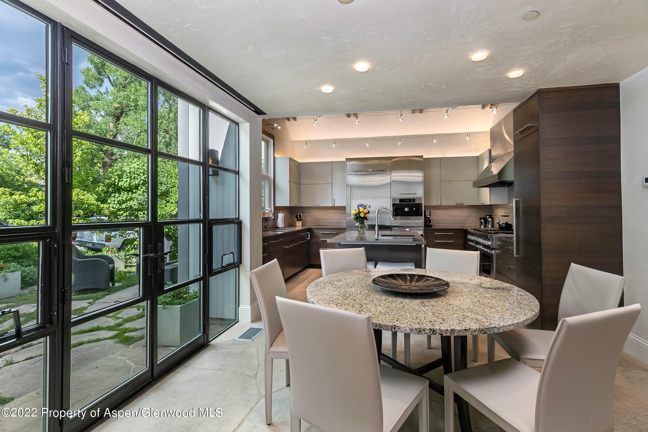135 W Hopkins Avenue, Aspen, CO 81611 - Photo 6