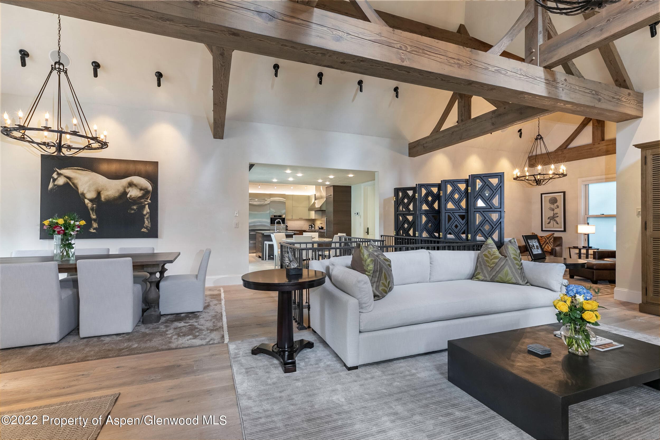 135 W Hopkins Avenue, Aspen, CO 81611 - Photo 2