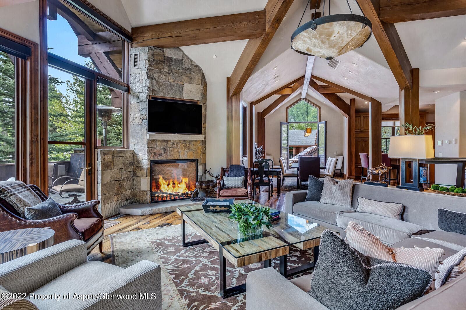 900 Waters Avenue, Aspen, CO 81611 - Photo 2