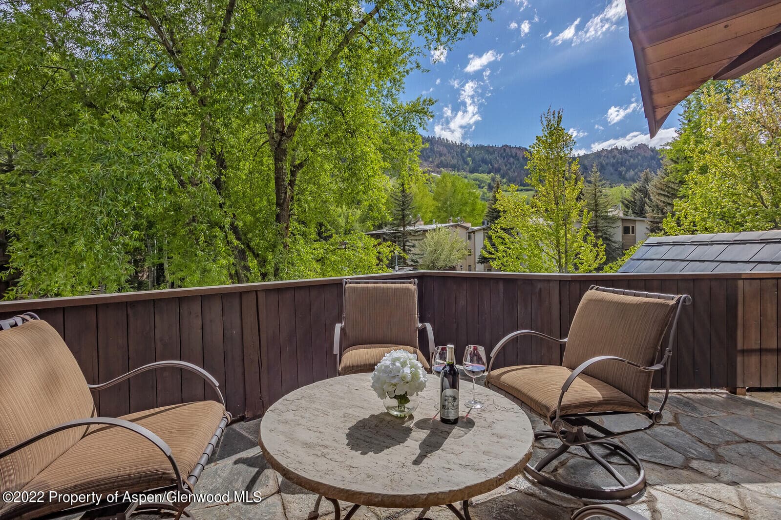 900 Waters Avenue, Aspen, CO 81611 - Photo 6