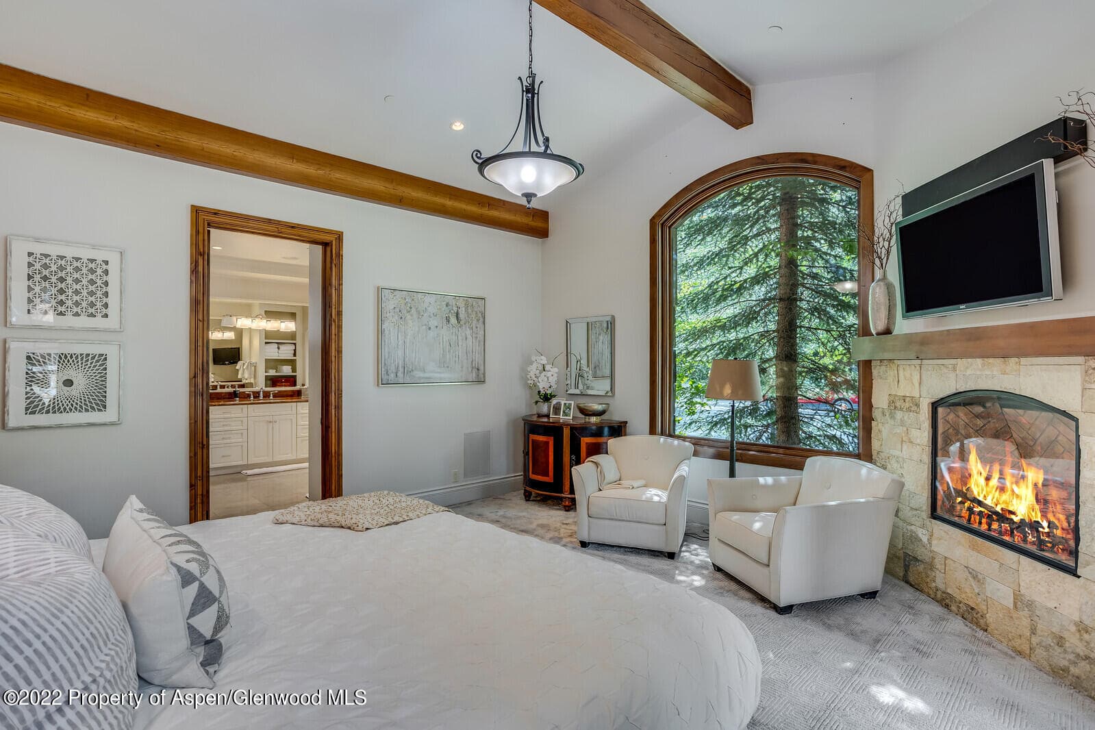 900 Waters Avenue, Aspen, CO 81611 - Photo 24