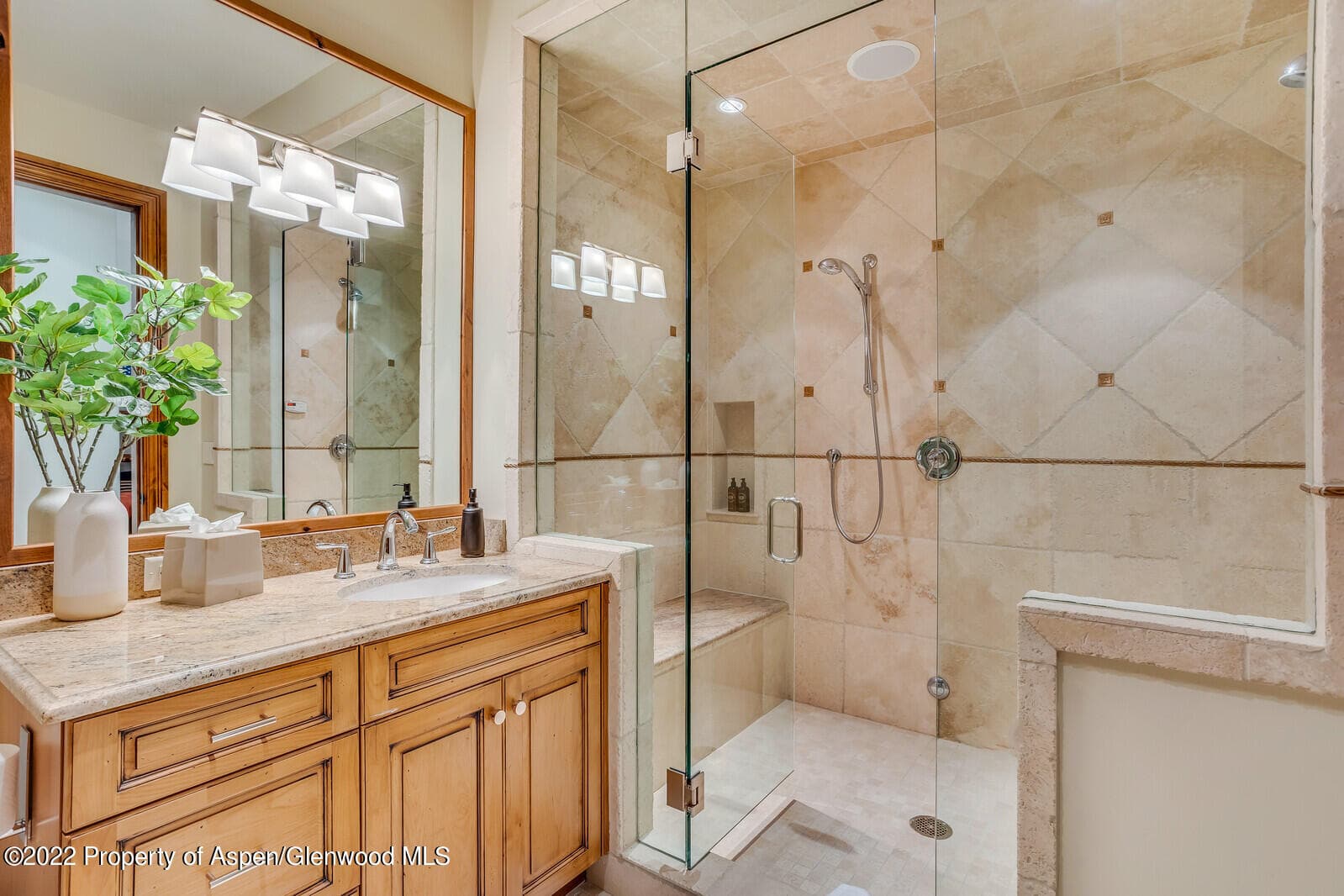 900 Waters Avenue, Aspen, CO 81611 - Photo 54