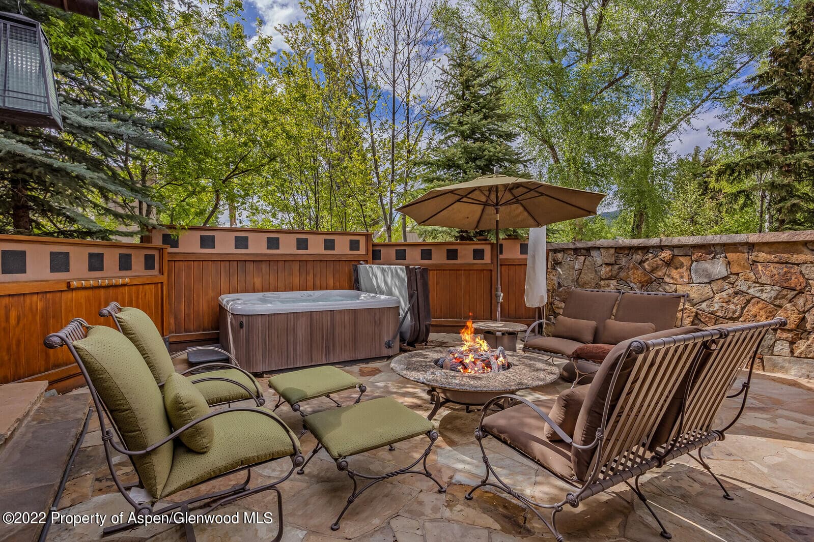 900 Waters Avenue, Aspen, CO 81611 - Photo 57