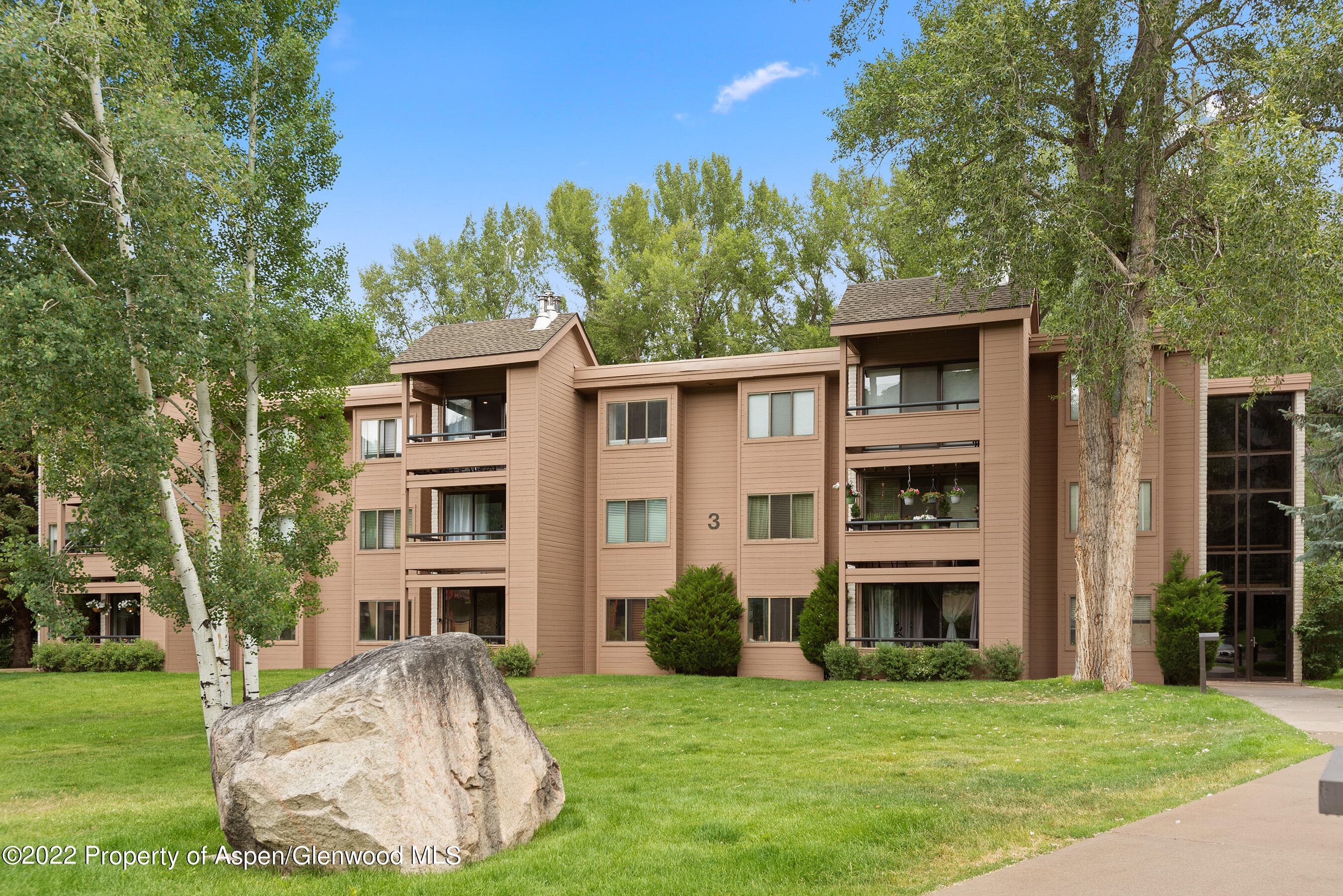 335 Vine Street 335, Aspen, CO 81611 - Photo 20
