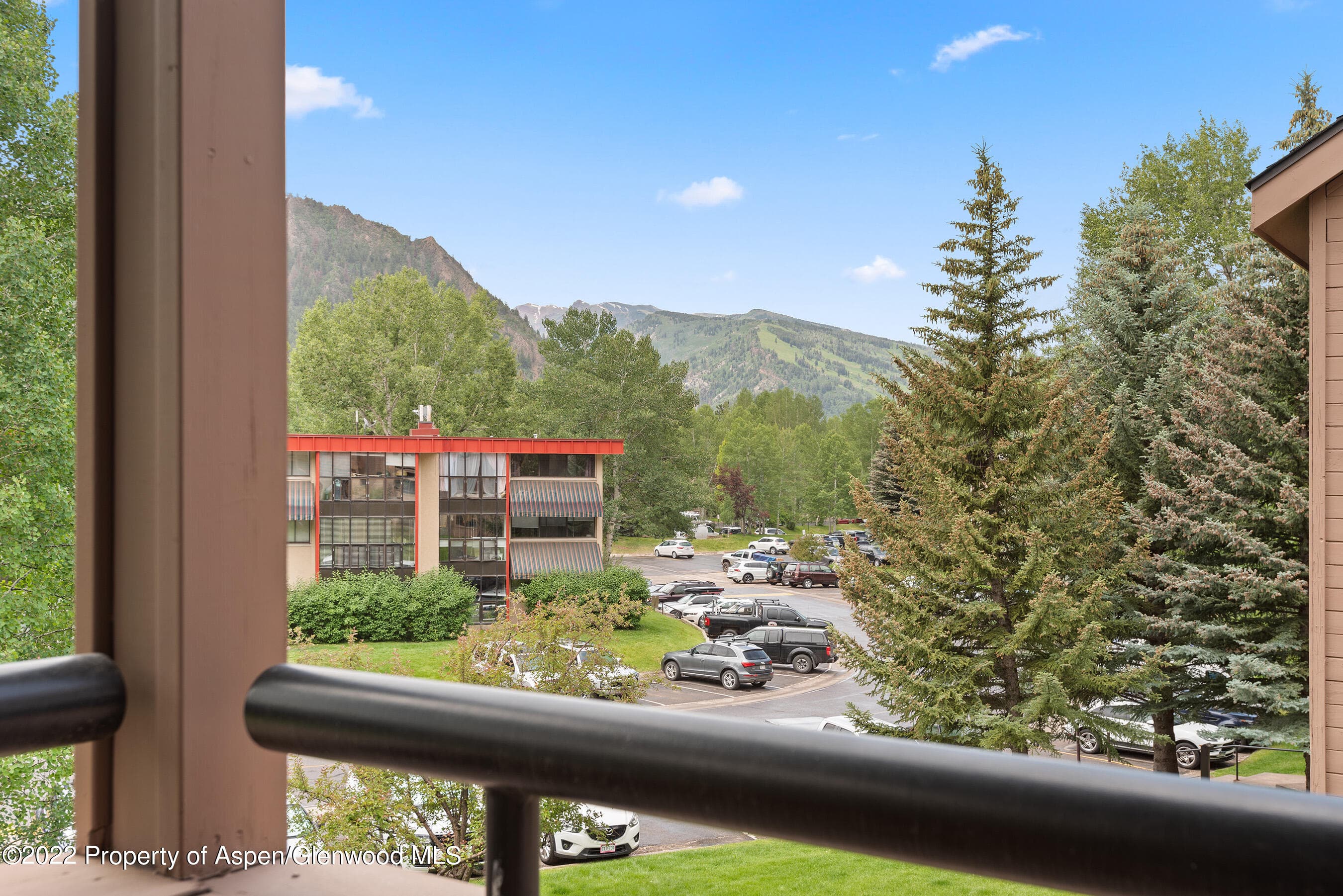 335 Vine Street 335, Aspen, CO 81611 - Photo 18