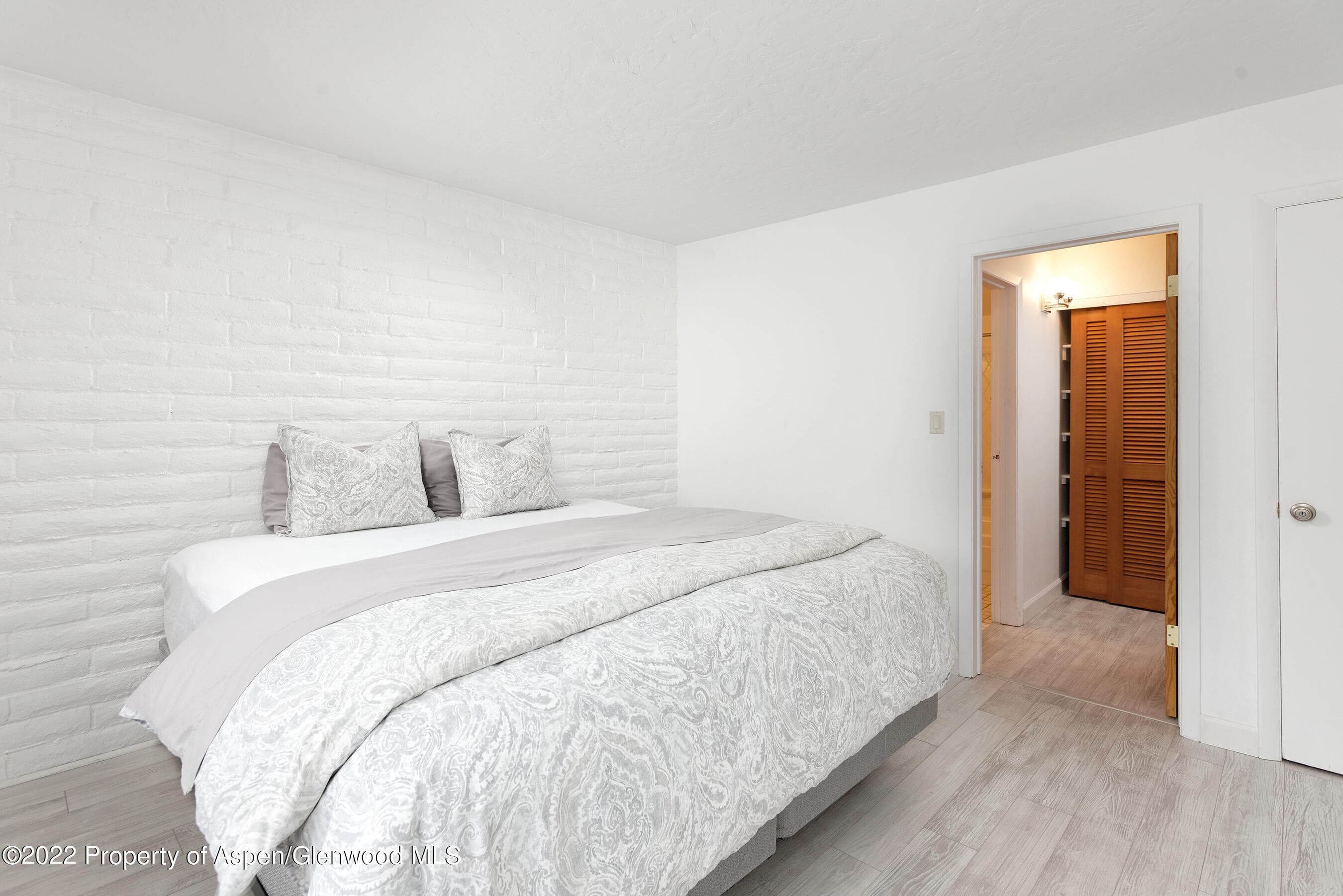 335 Vine Street 335, Aspen, CO 81611 - Photo 8